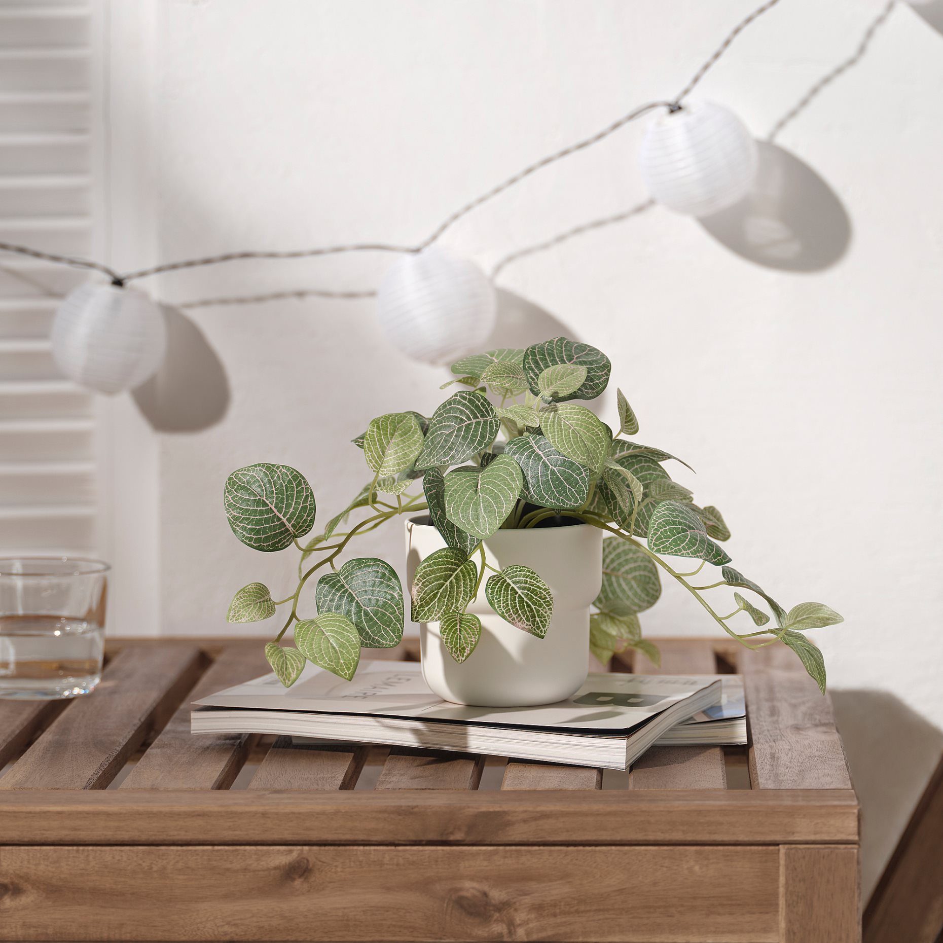 FEJKA, artificial potted plant/in/outdoor mosaic plant/hanging, 9 cm, 405.716.77