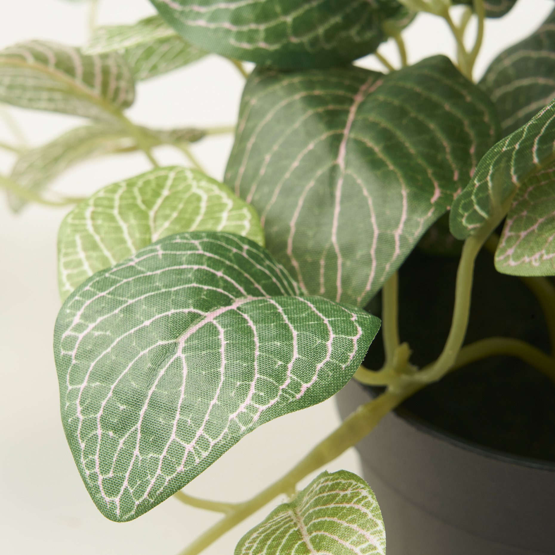 FEJKA, artificial potted plant/in/outdoor mosaic plant/hanging, 9 cm, 405.716.77