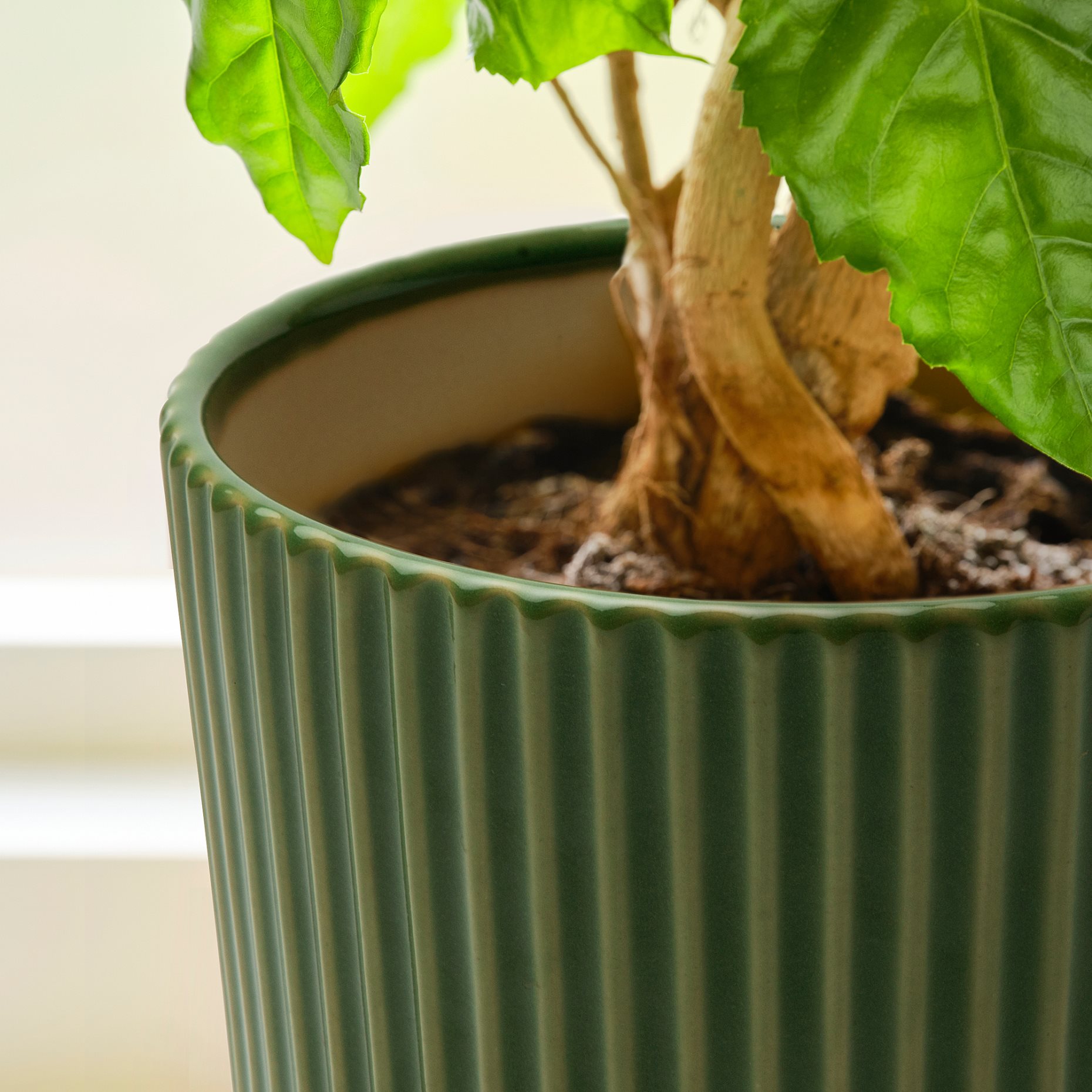 MÄVINN, plant pot, 406.151.29