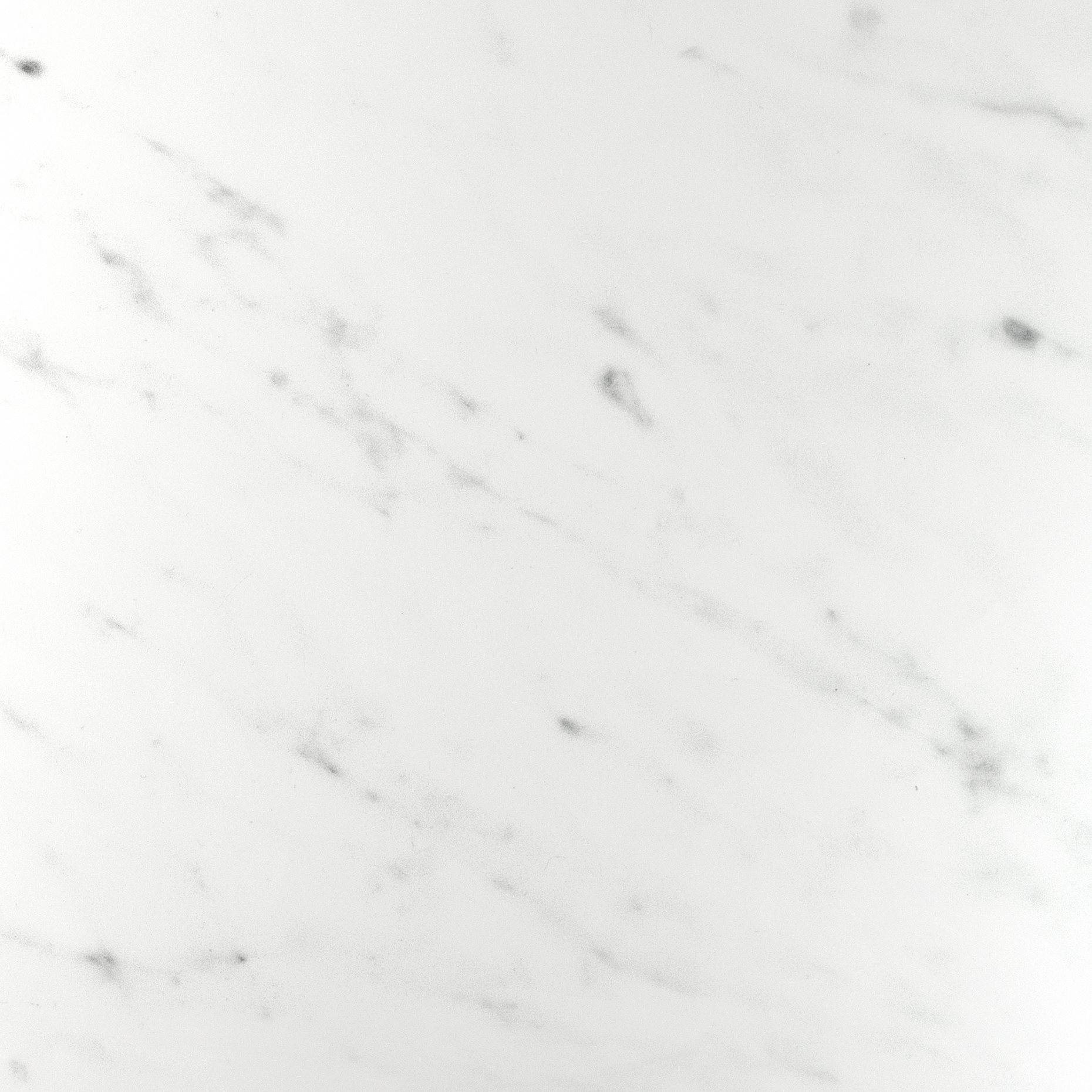 TOLKEN, countertop, 503.547.01