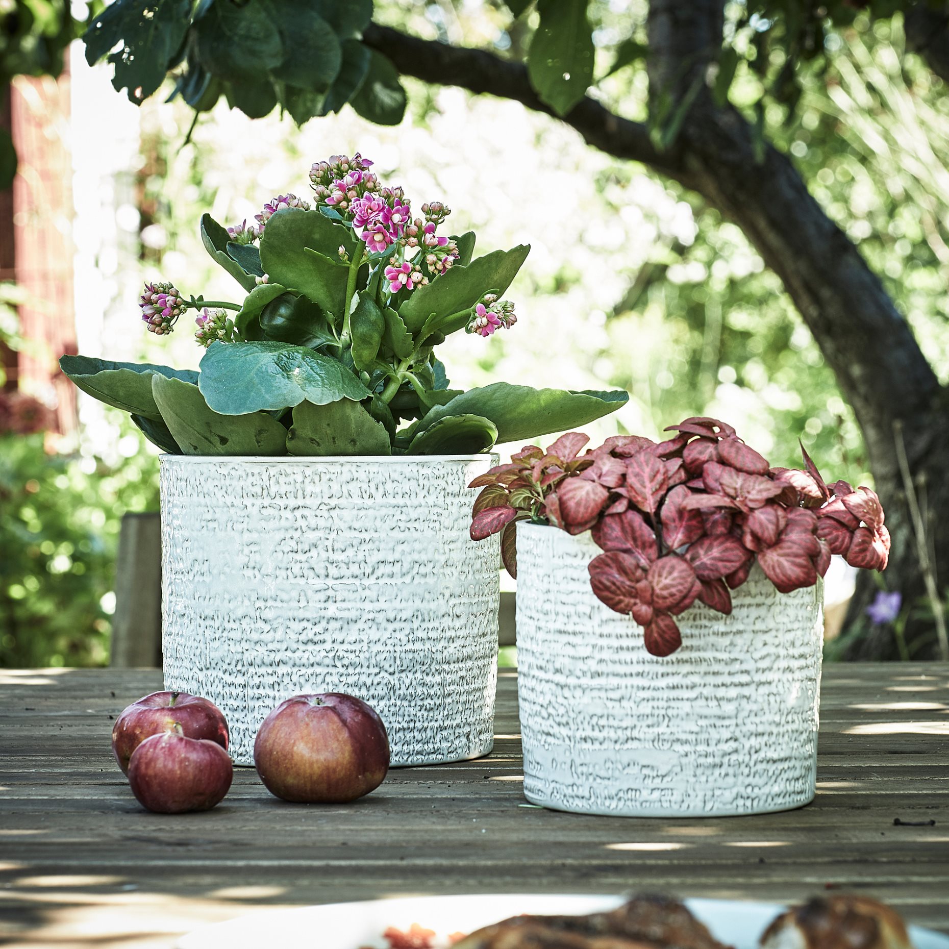 CHIAFRÖN, plant pot in/outdoor, 12 cm, 504.757.60