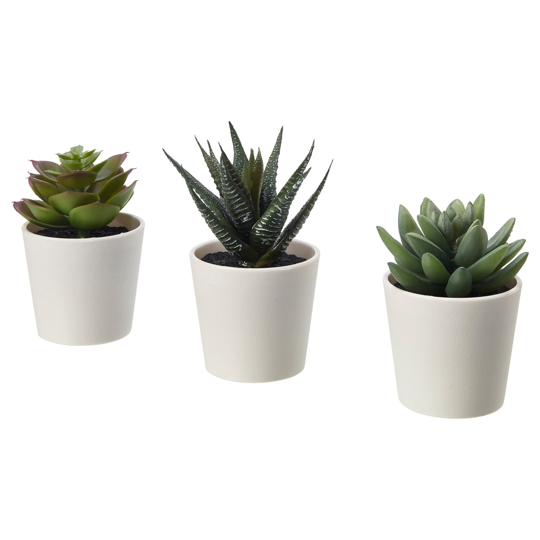 FEJKA, artificial potted plant with pot/in/outdoor Succulent/3 pack, 6 cm, 505.197.64