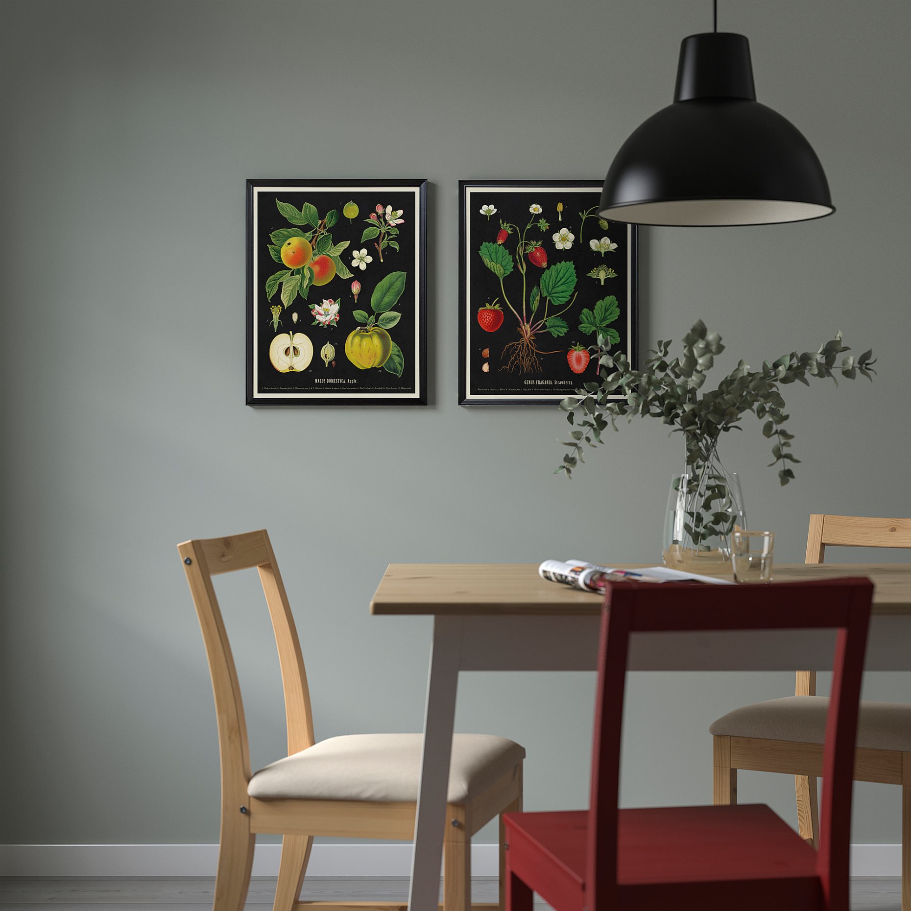 KNOPPÄNG, frame with poster/vintage botanical fruit charts, 40x50 cm, 505.788.95