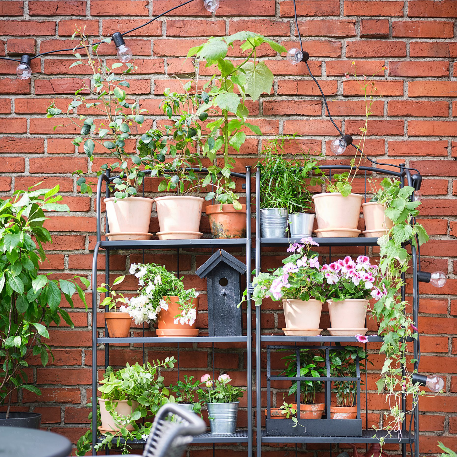 LÄCKÖ, καρέκλα με μπράτσα, εξωτερικού χώρου, 604.633.04