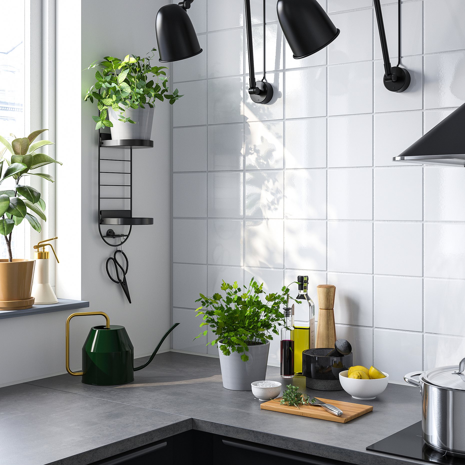 SKUGGRÖNA, wall mounted plant stand, 54 cm, 705.620.11