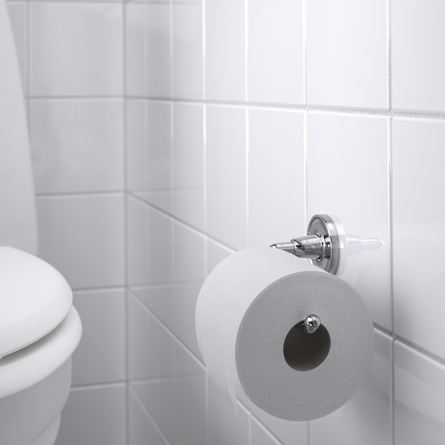 BROFJÄRDEN, toilet roll holder, 705.815.52