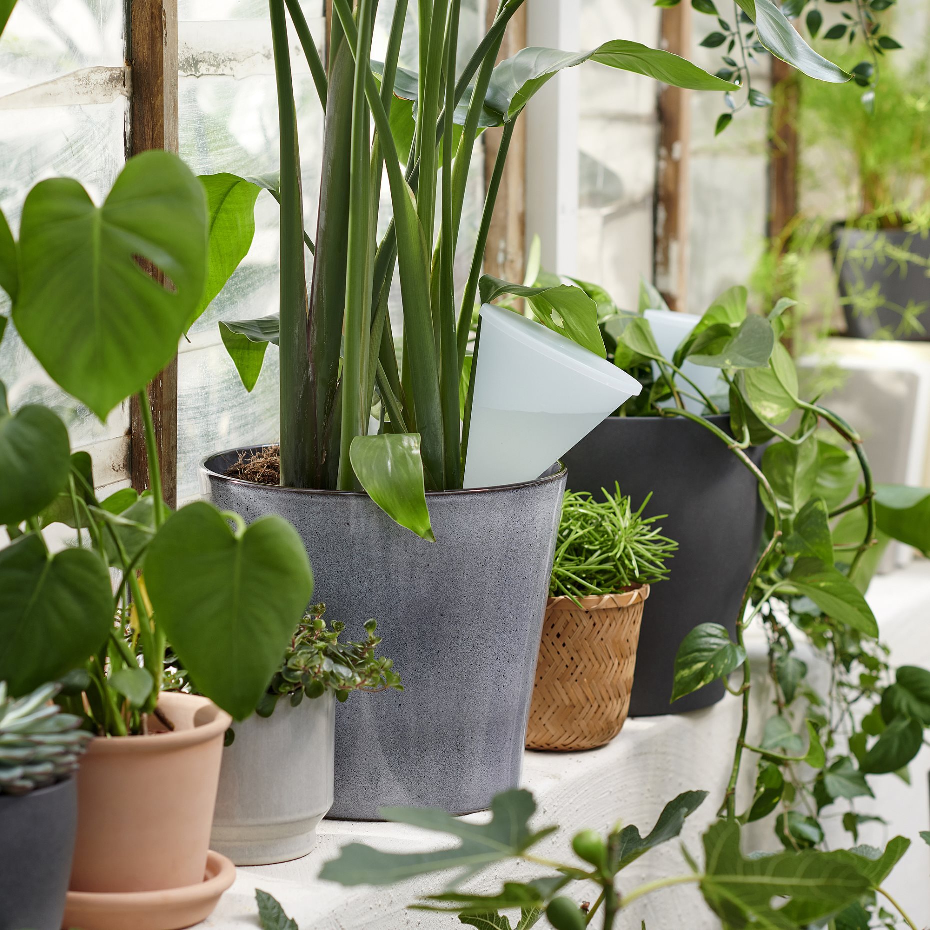 SVÄMSKOG, self-watering insert, 70 cl, 805.708.74