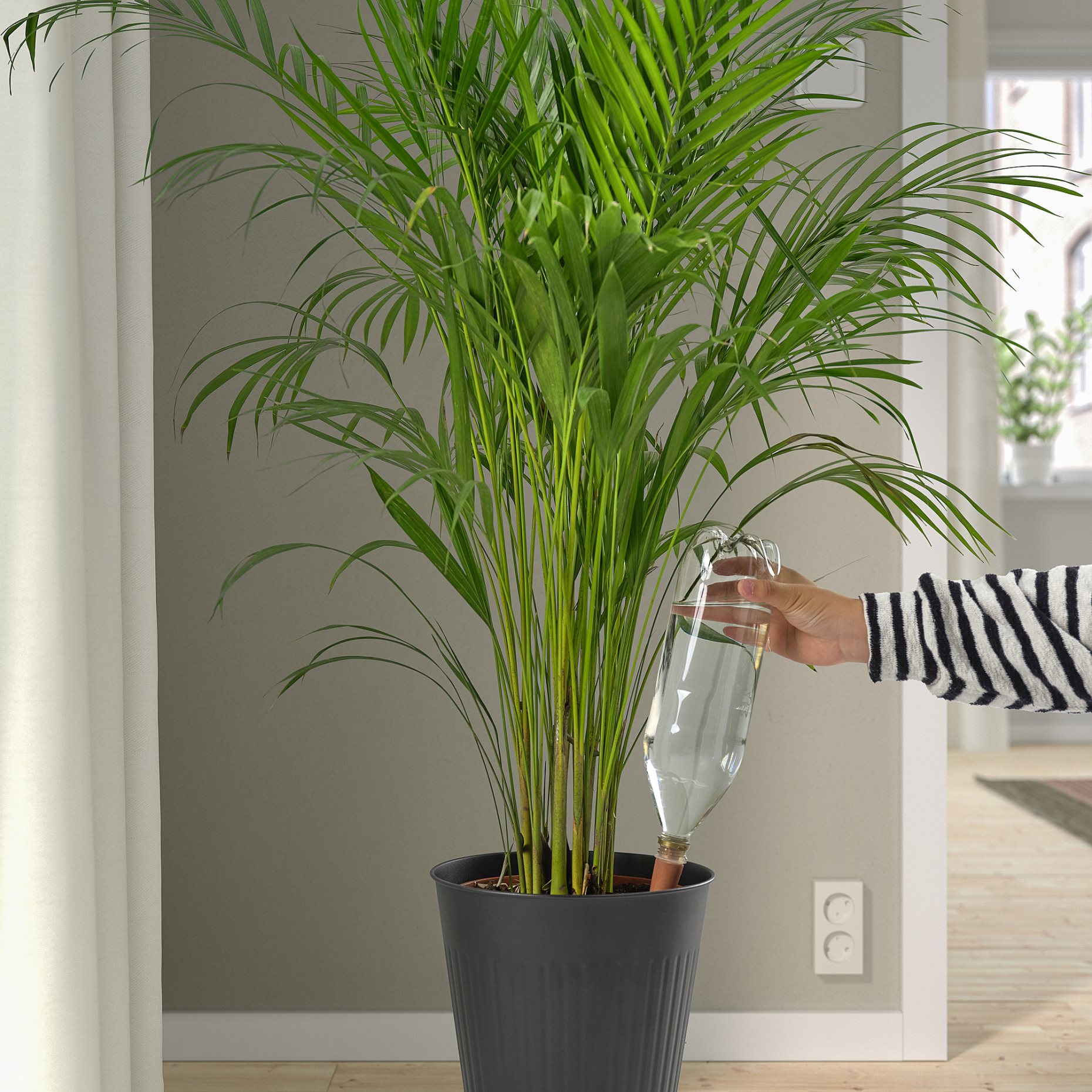 SVÄMSKOG, self-watering insert, 70 cl, 805.708.74