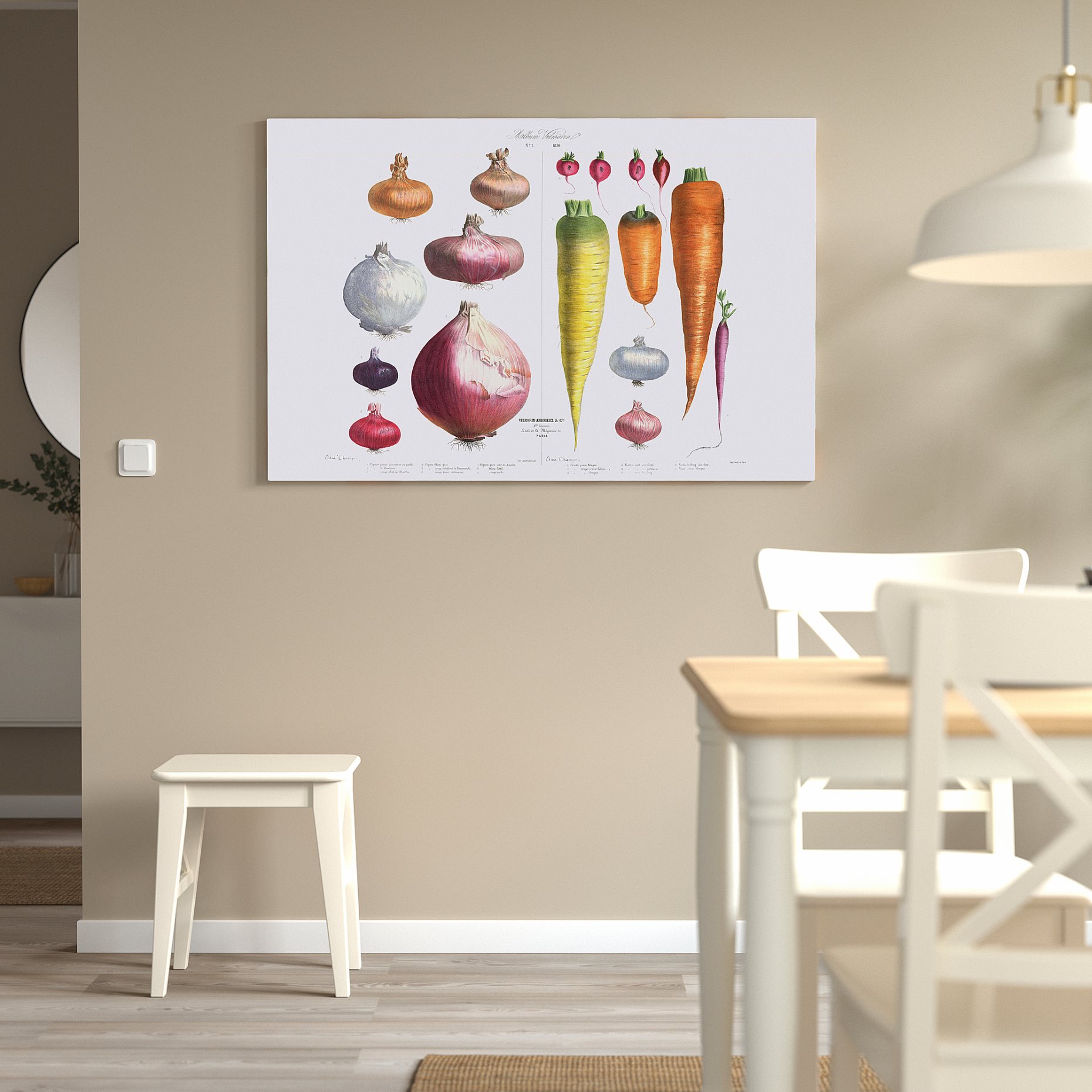 PJÄTTERYD, picture/Onions, radishes and carrots,, 905.600.54