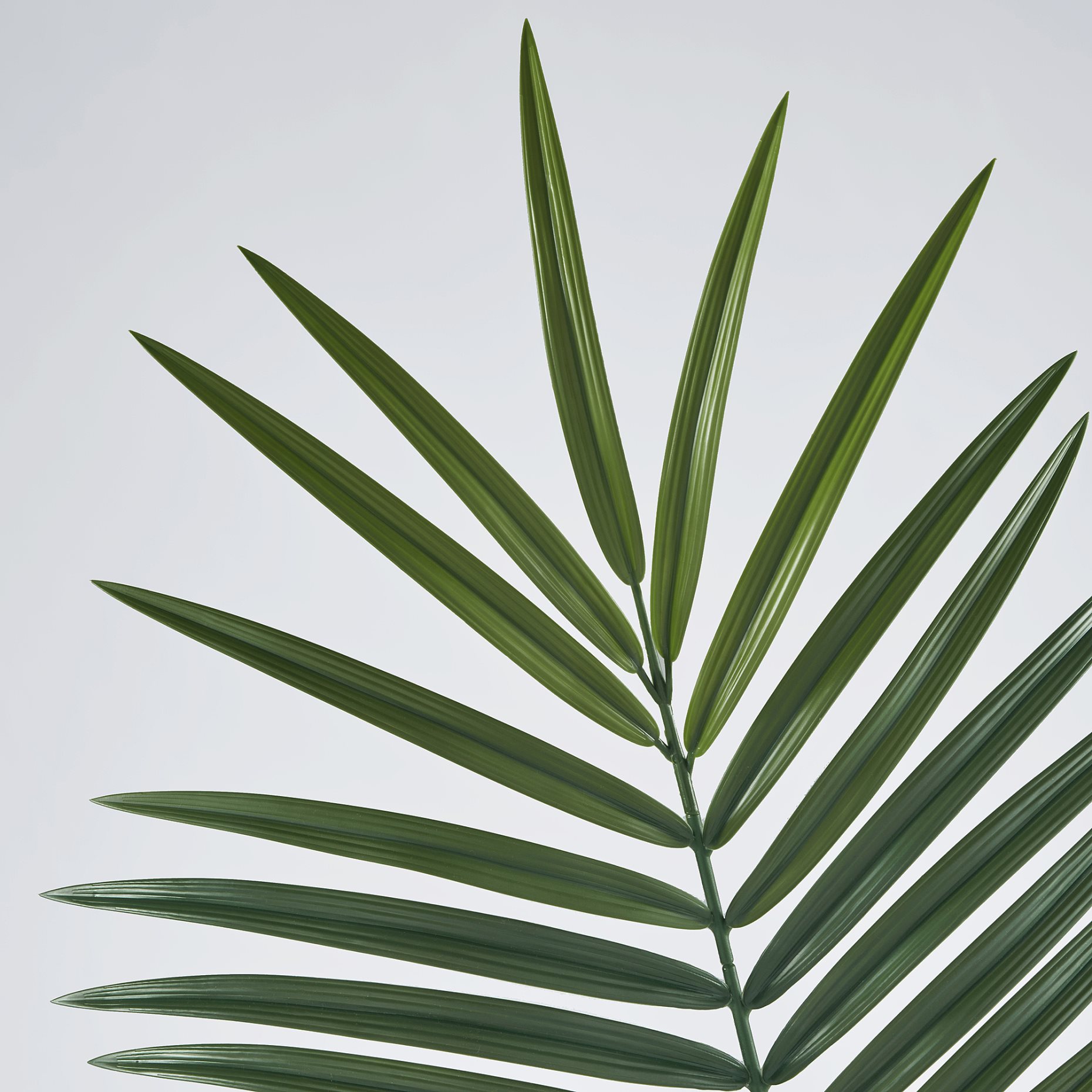 SMYCKA, artificial leaf in/outdoor/palm, 100 cm, 905.932.76