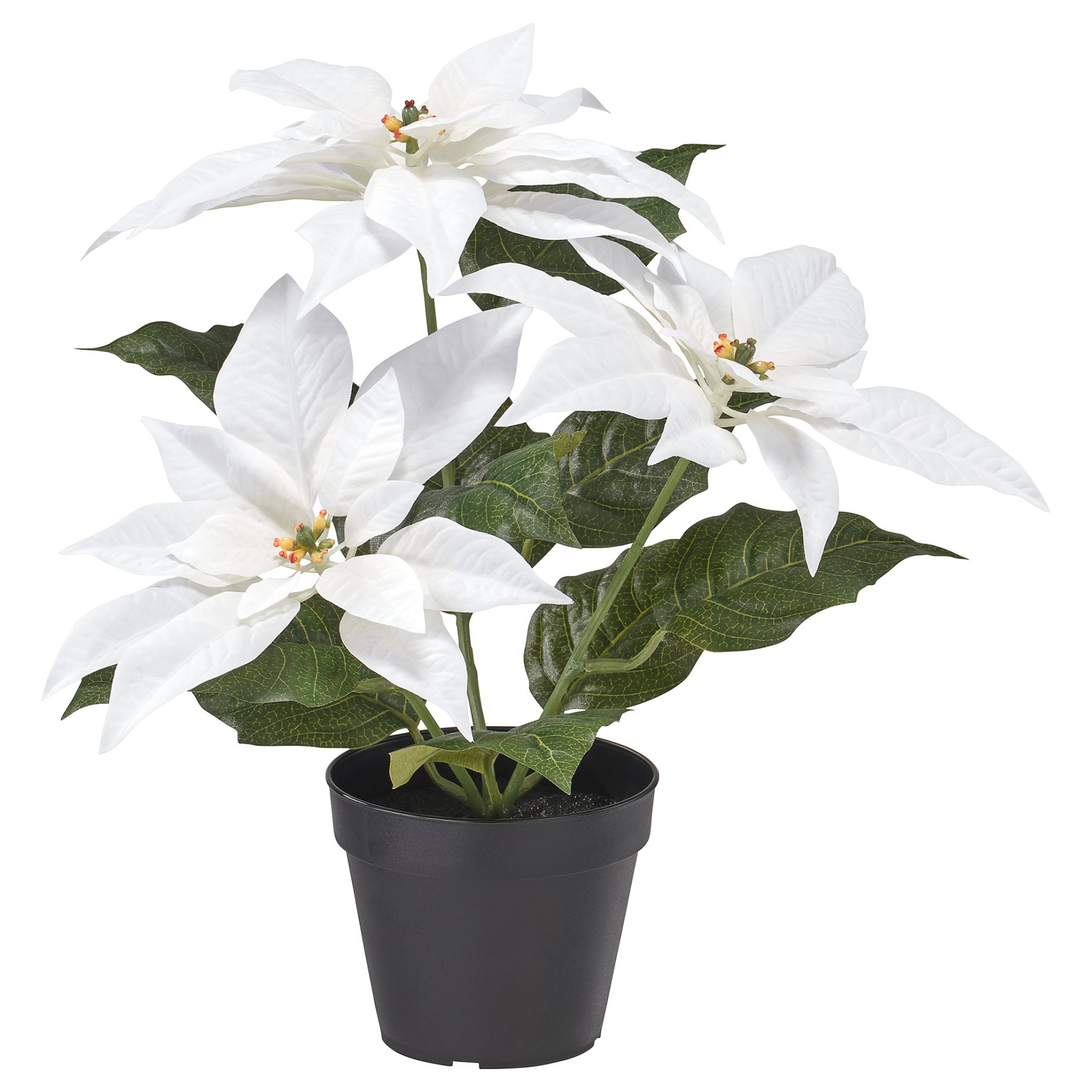 VINTERFINT, artificial potted plant in/outdoor Poinsettia, 12 cm, 906.066.36