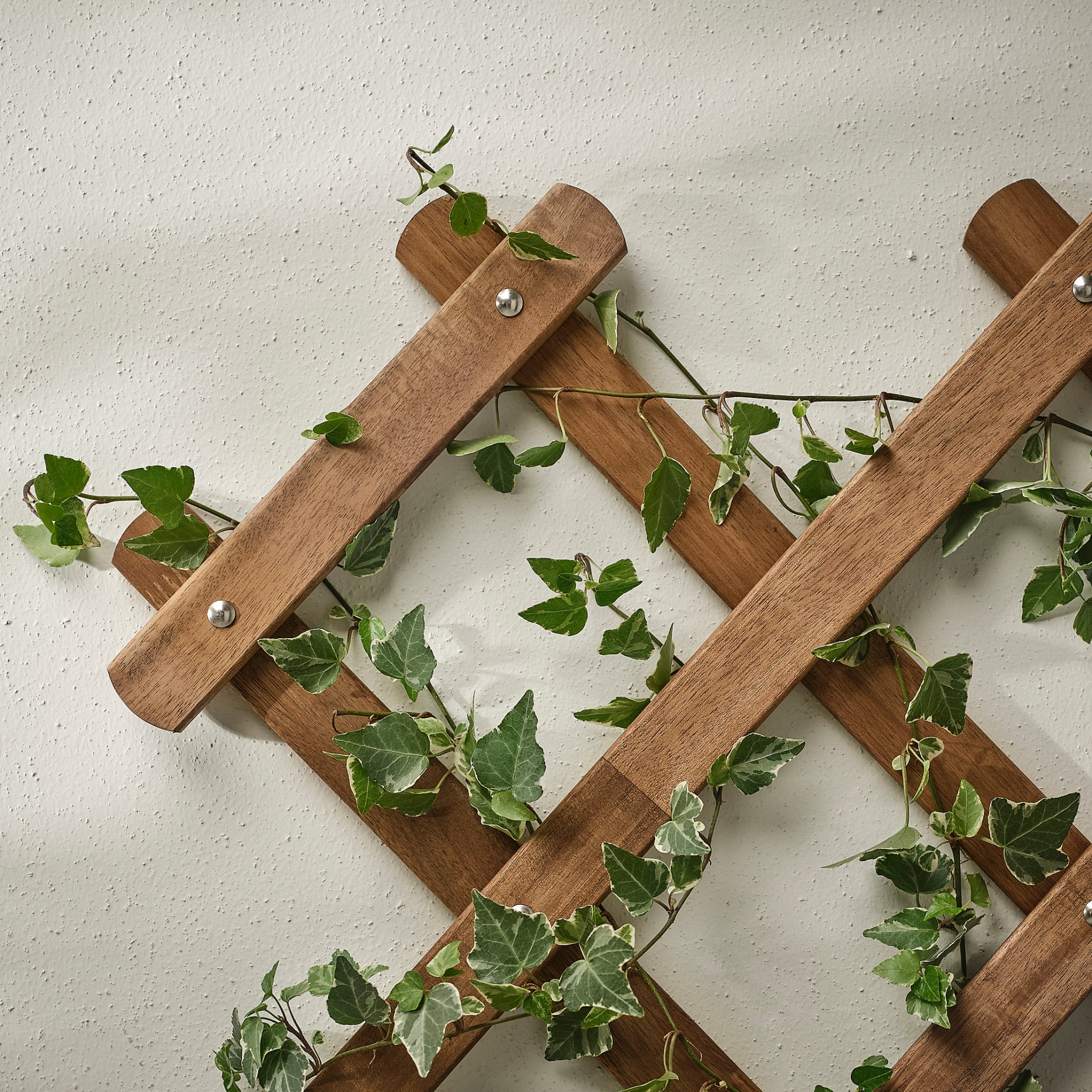 ASKHOLMEN, trellis/outdoor, 72x190 cm, 005.575.03