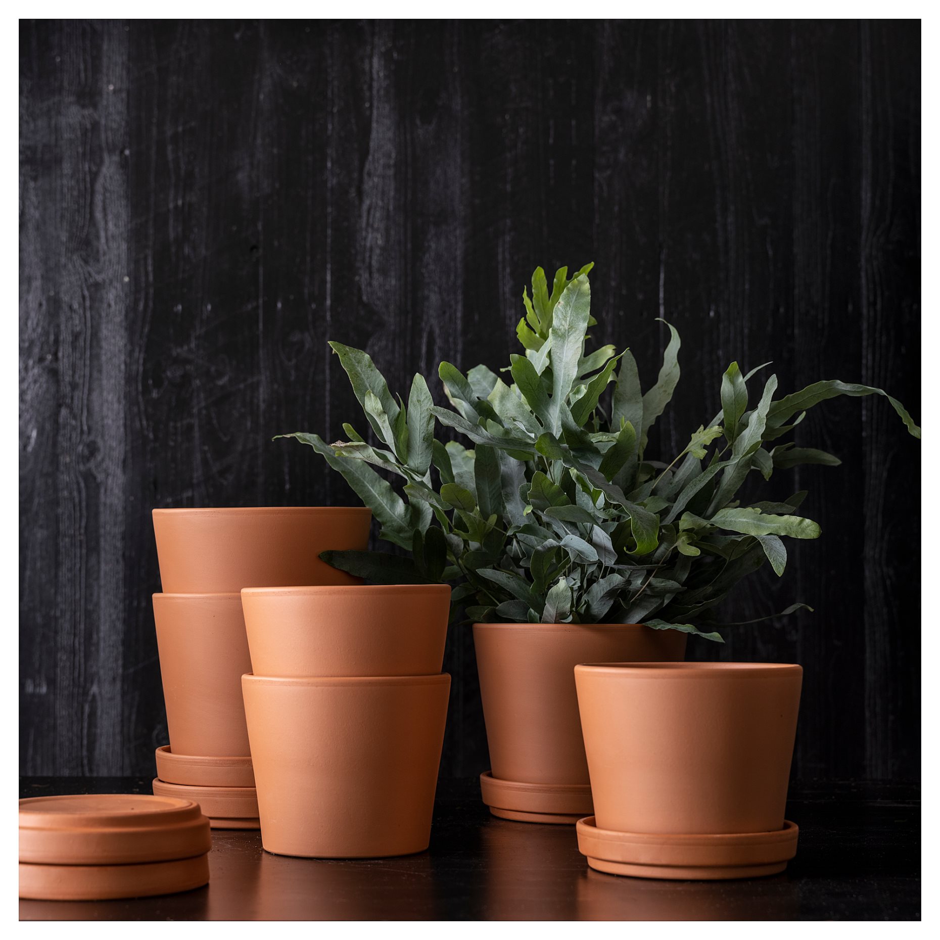 BRUNBÄR, plant pot with saucer/outdoor, 12 cm, 105.108.26