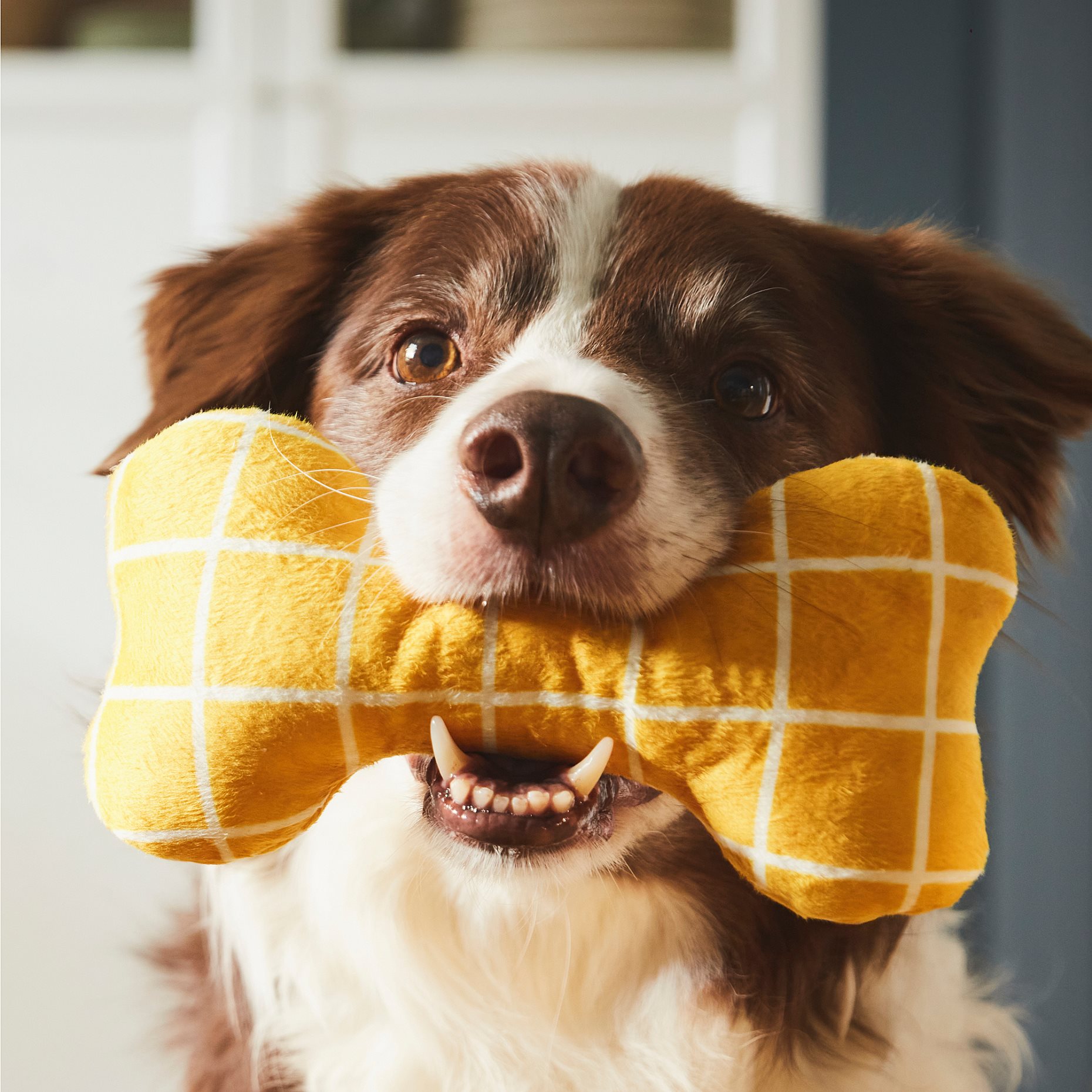 UTSADD, soft toy for dog, 105.708.77