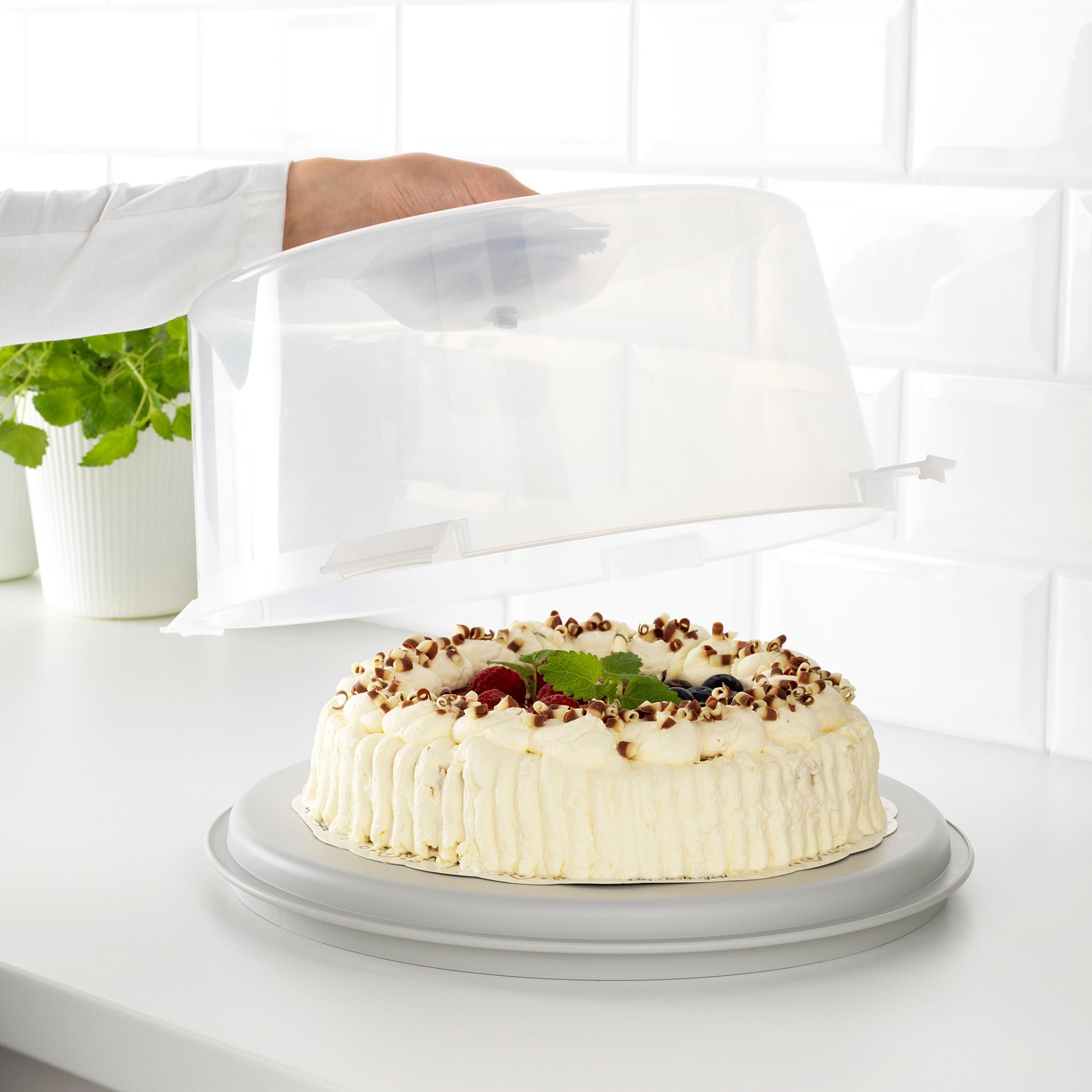 KRISPIG, cake carrier, 36 cm, 203.364.07