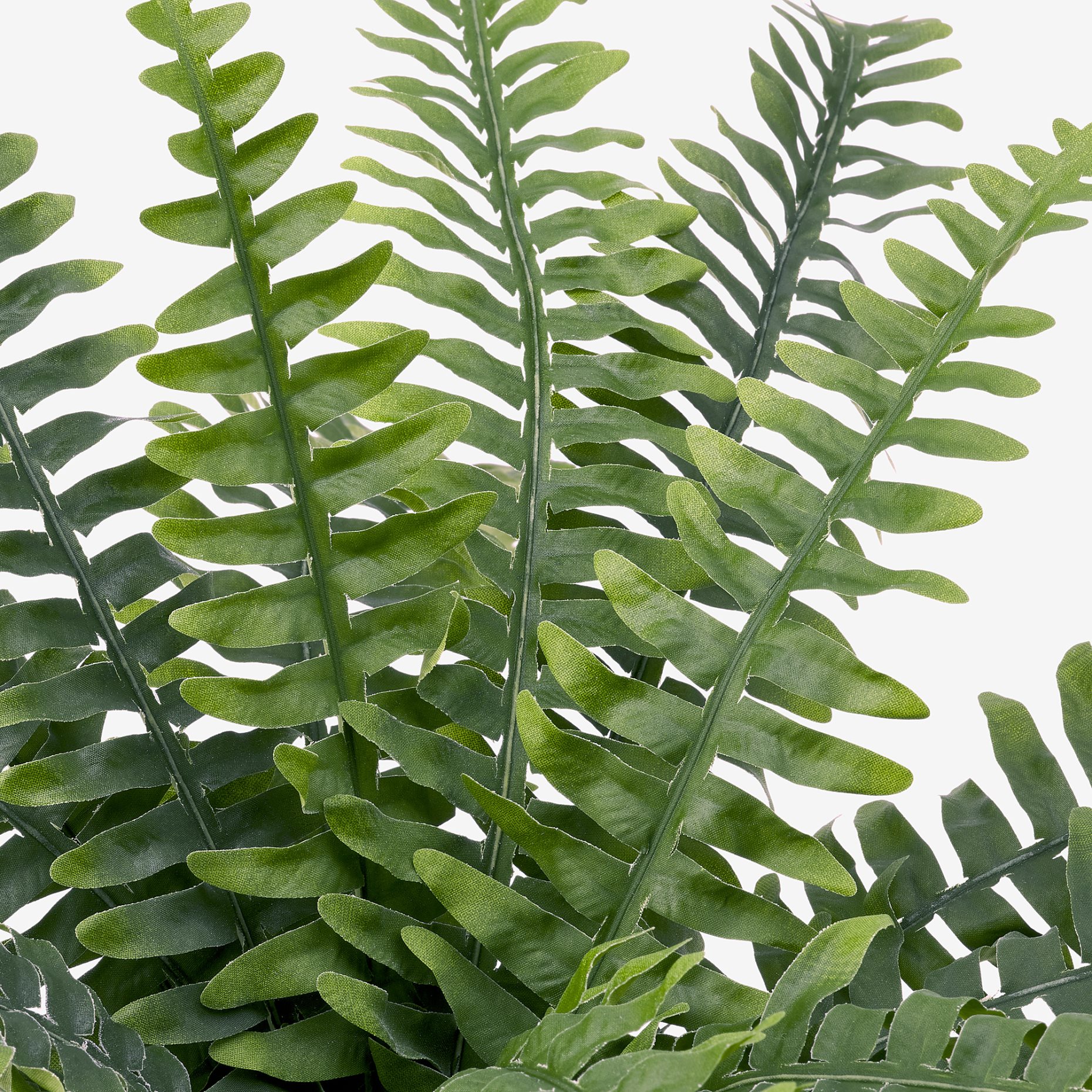 FEJKA, artificial potted plant in/outdoor fern, 15 cm, 204.684.50