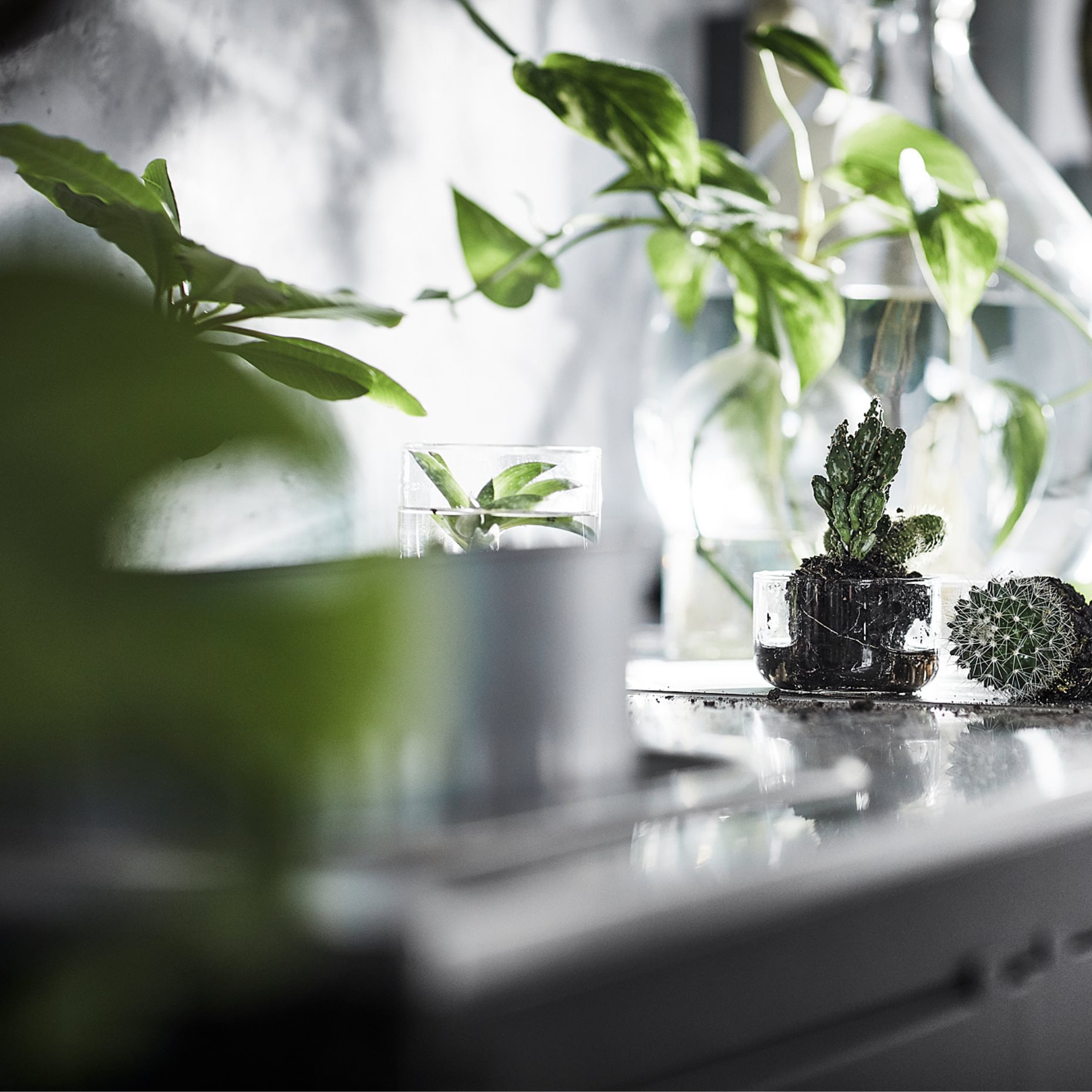 GRILLSKÄR, ραφιέρα νησίδας κουζίνας, 293.901.07