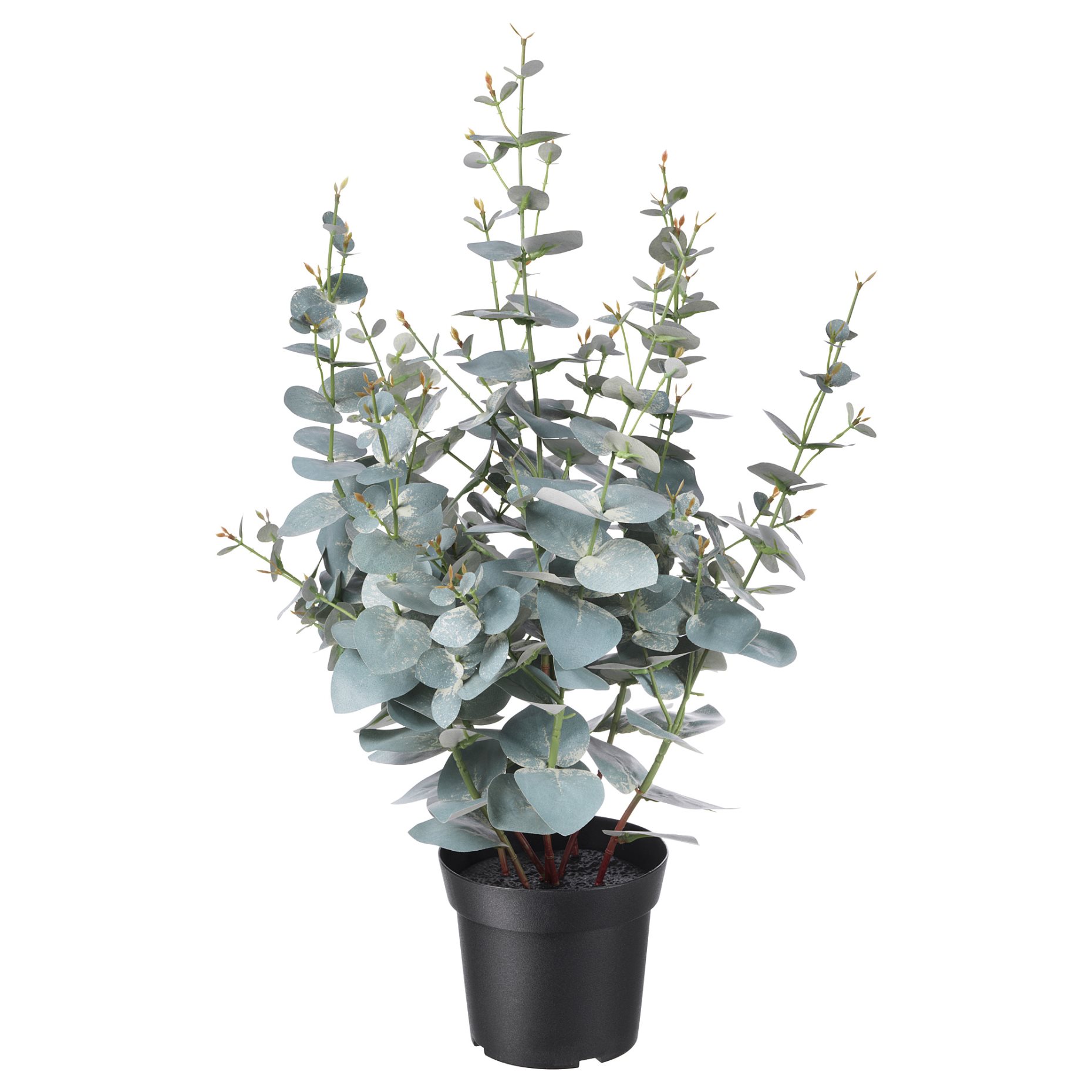 FEJKA, artificial potted plant, in/outdoor eucalyptus, 404.523.68