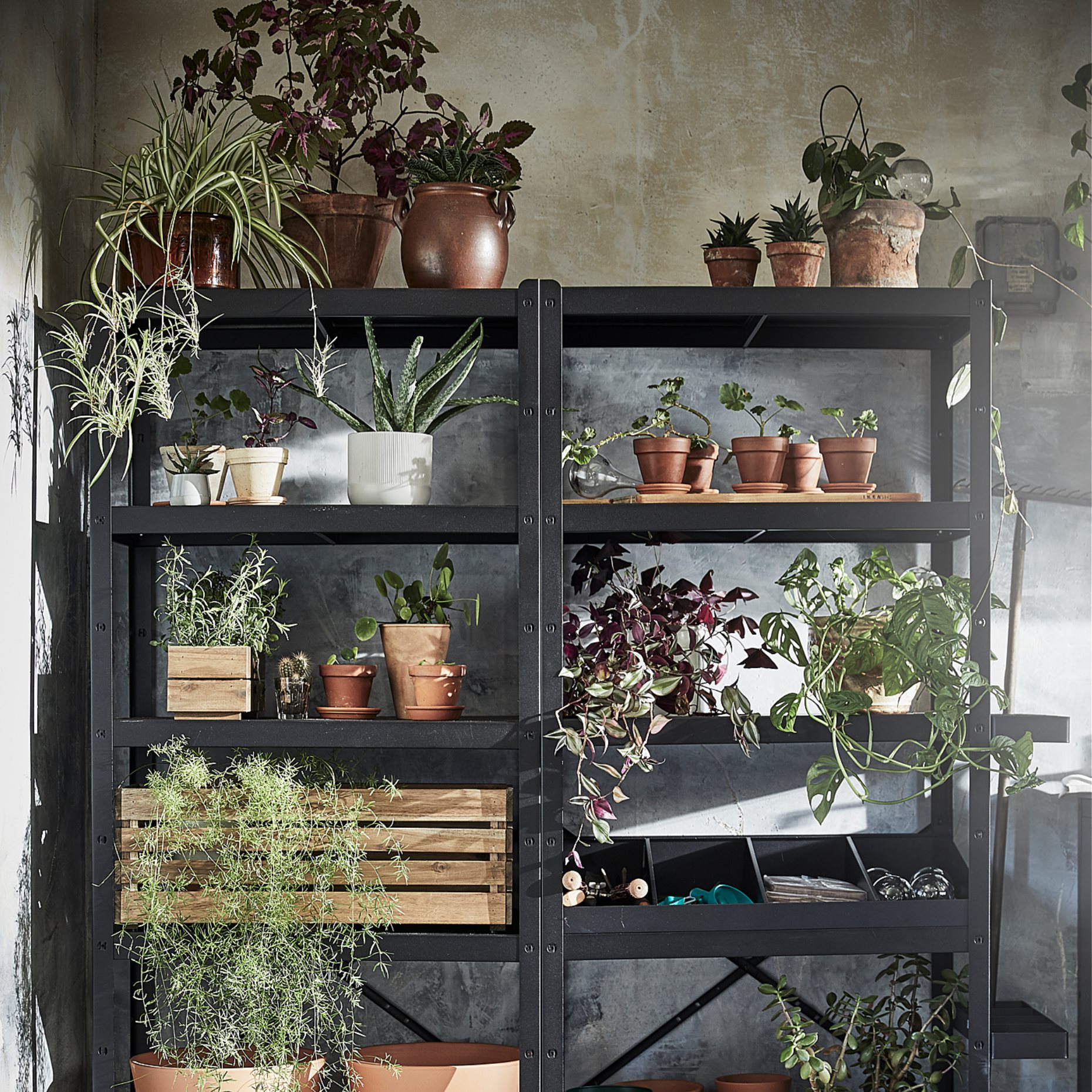 BROR, shelving unit, 492.829.94