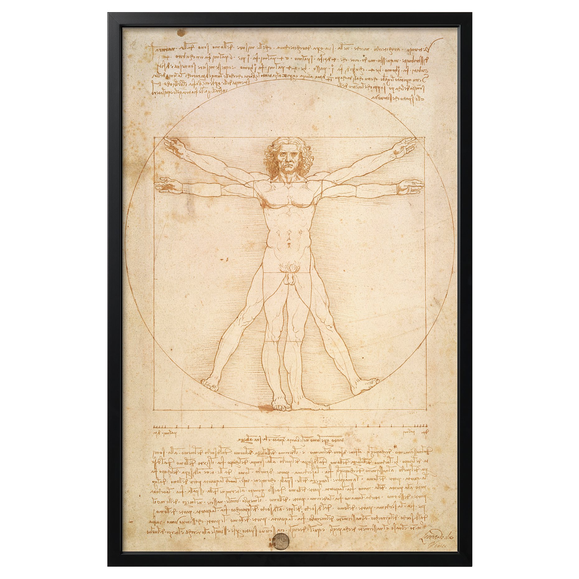 BJÖRKSTA, picture with frame/The Vitruvian Man, 78x118 cm, 493.849.83