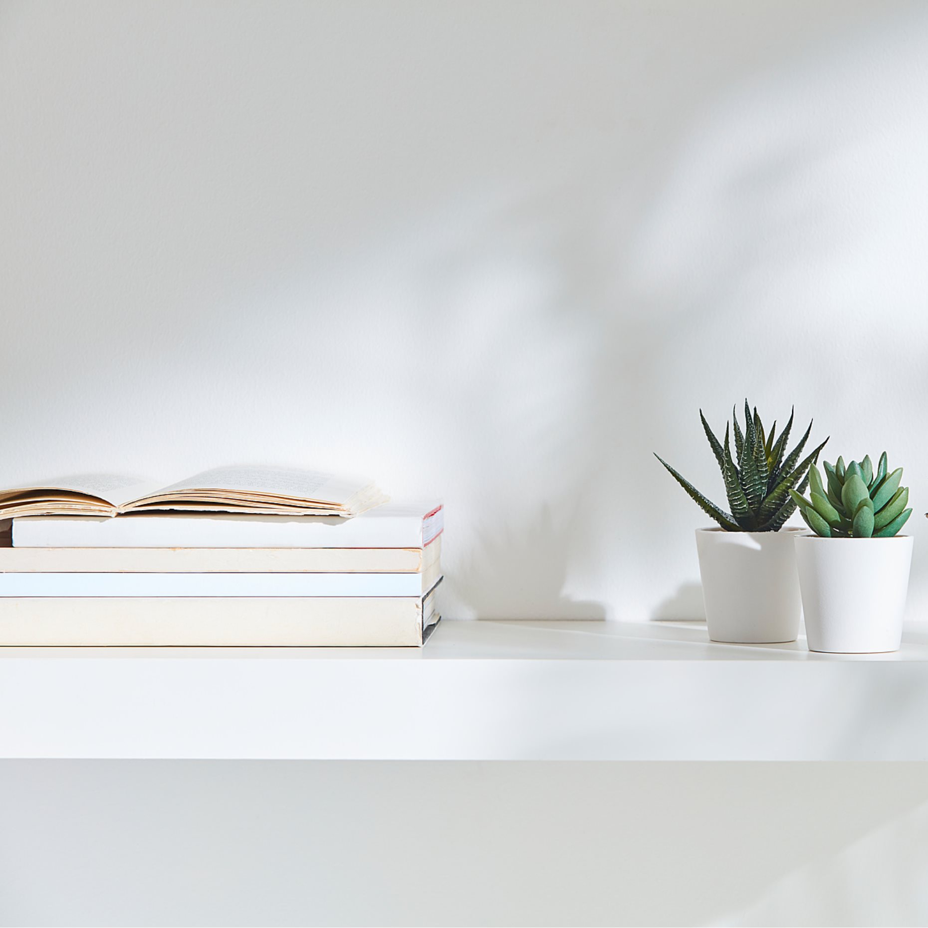 FEJKA, artificial potted plant with pot/in/outdoor Succulent/3 pack, 6 cm, 505.197.64