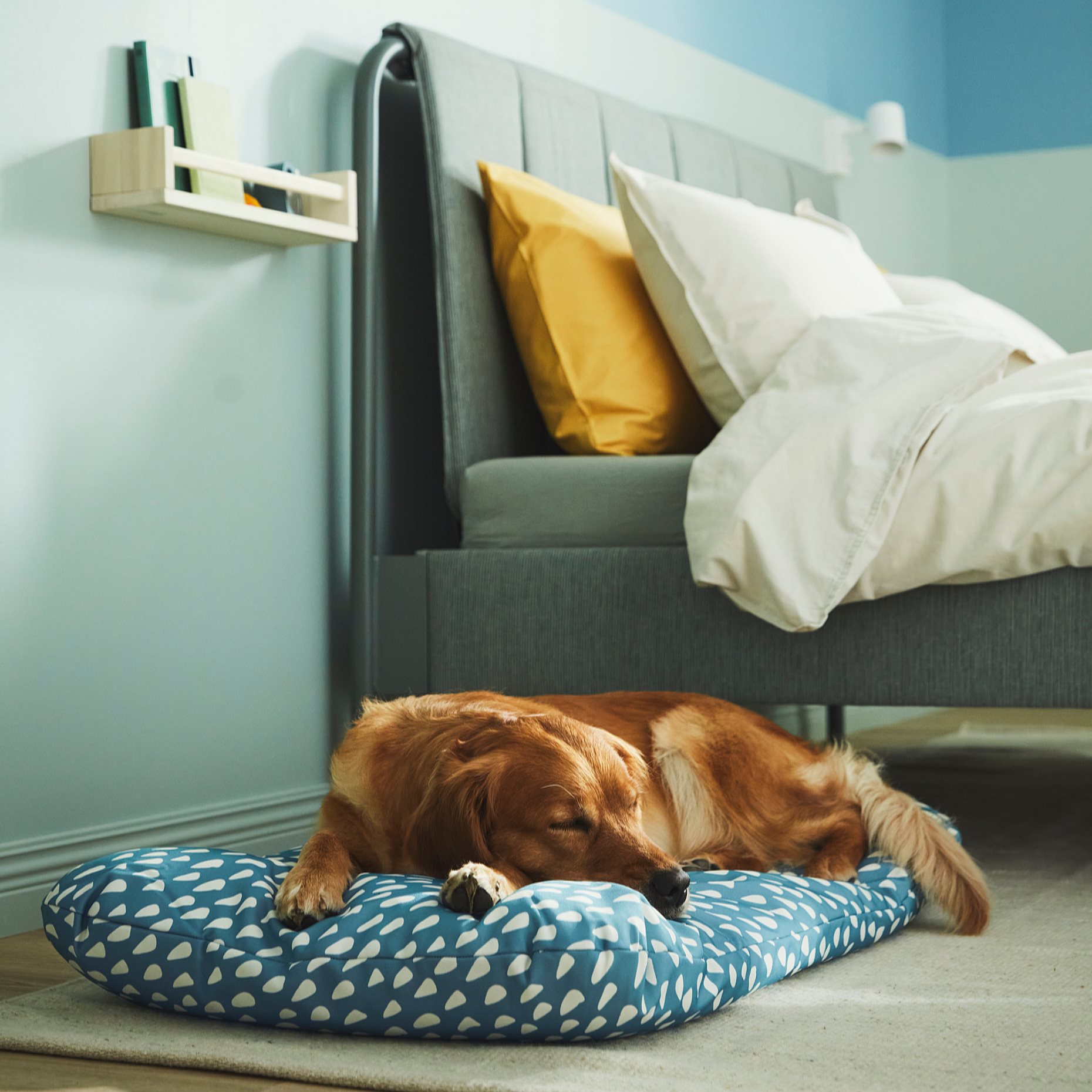 UTSADD, pet cushion, 64x102 cm, 505.677.50