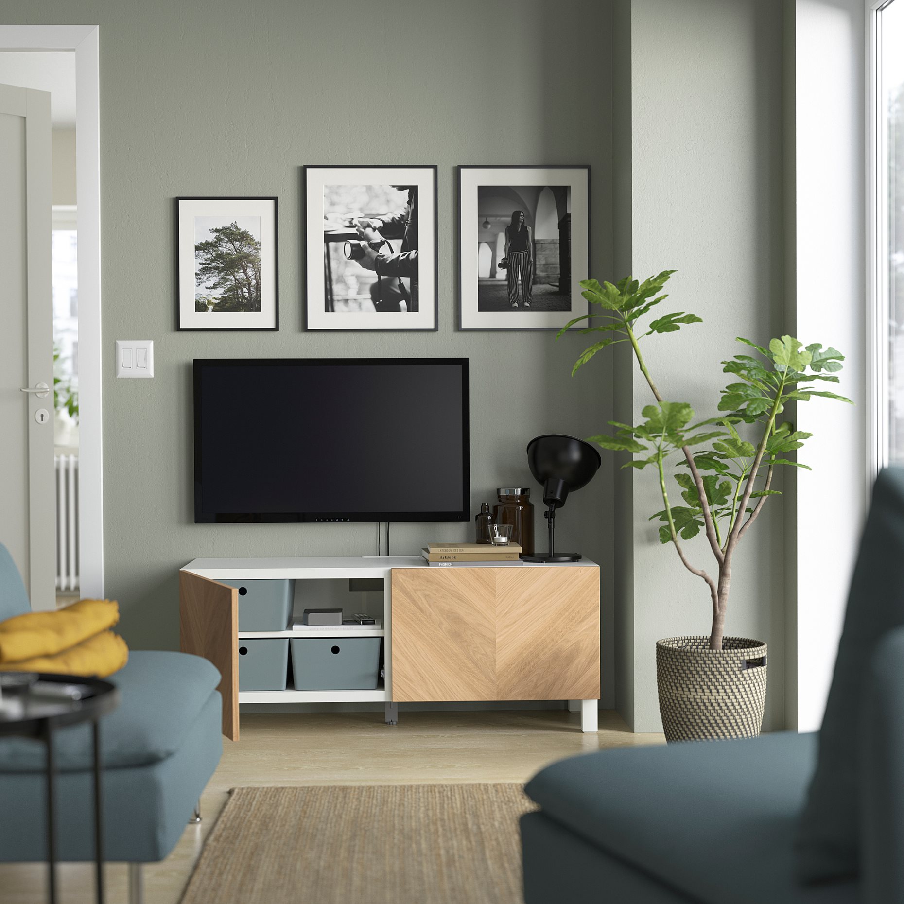 BESTÅ, TV bench with doors, 120x42x48 cm, 694.194.39