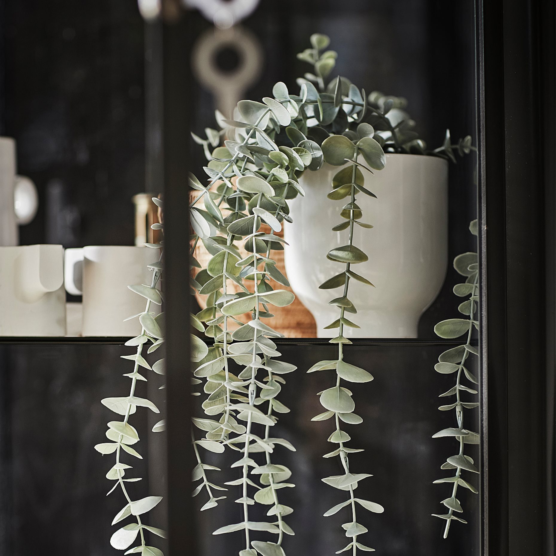 FEJKA, artificial potted plant  in/outdoor hanging/eucalyptus, 9 cm, 704.668.11