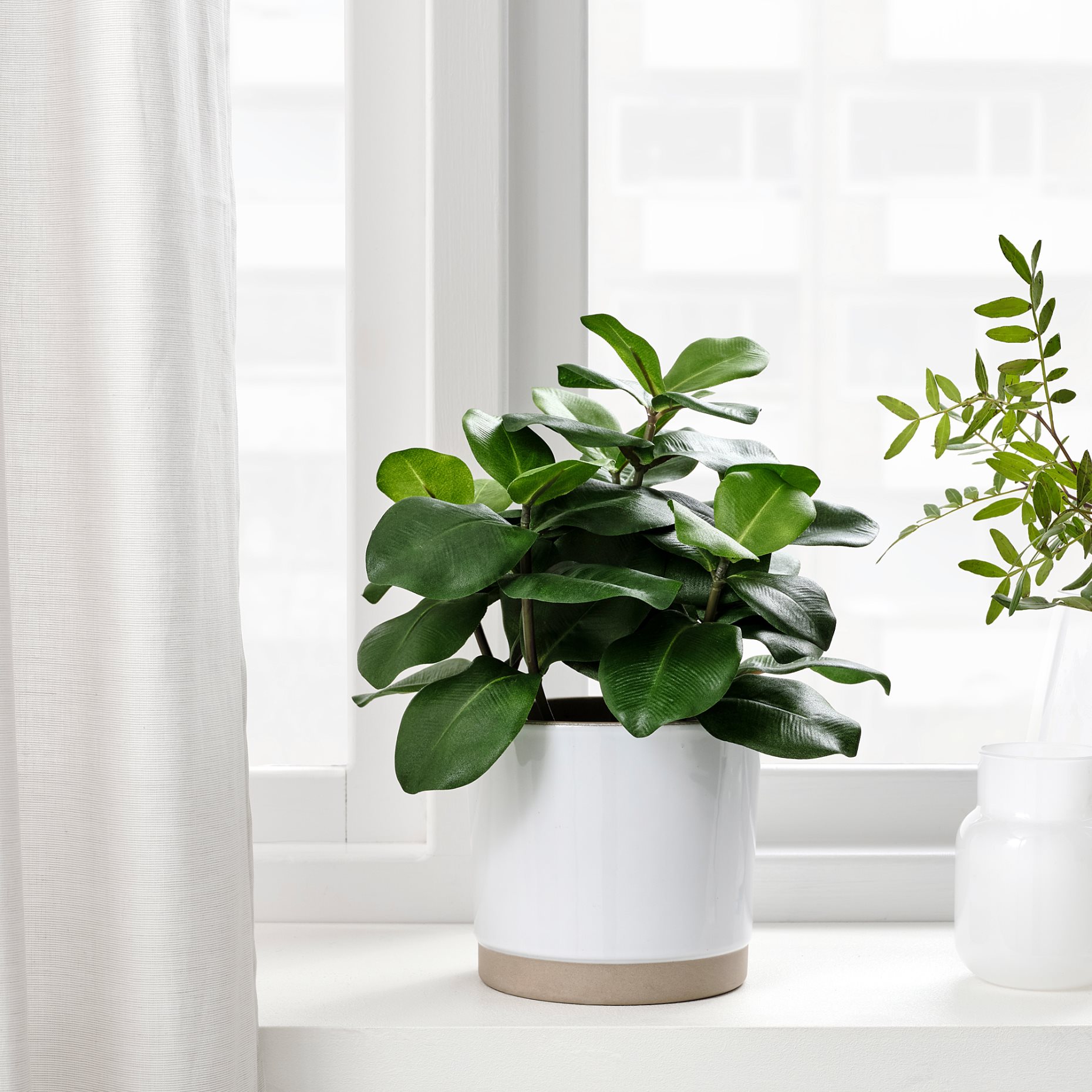 FEJKA, artificial potted plant in/outdoor, Clusia 12 cm, 704.933.48