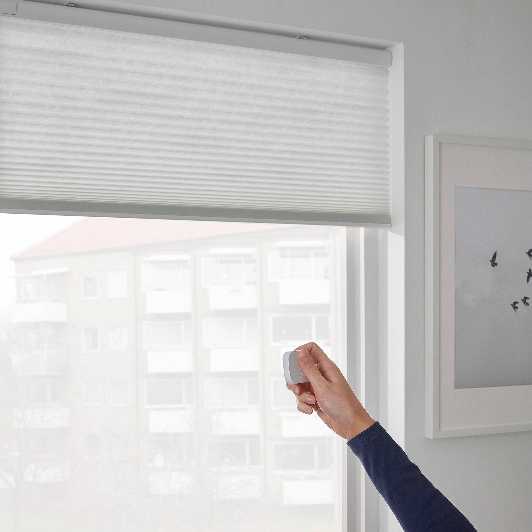 PRAKTLYSING, cellular blind wireless/battery-operated, 80x195 cm, 705.142.61