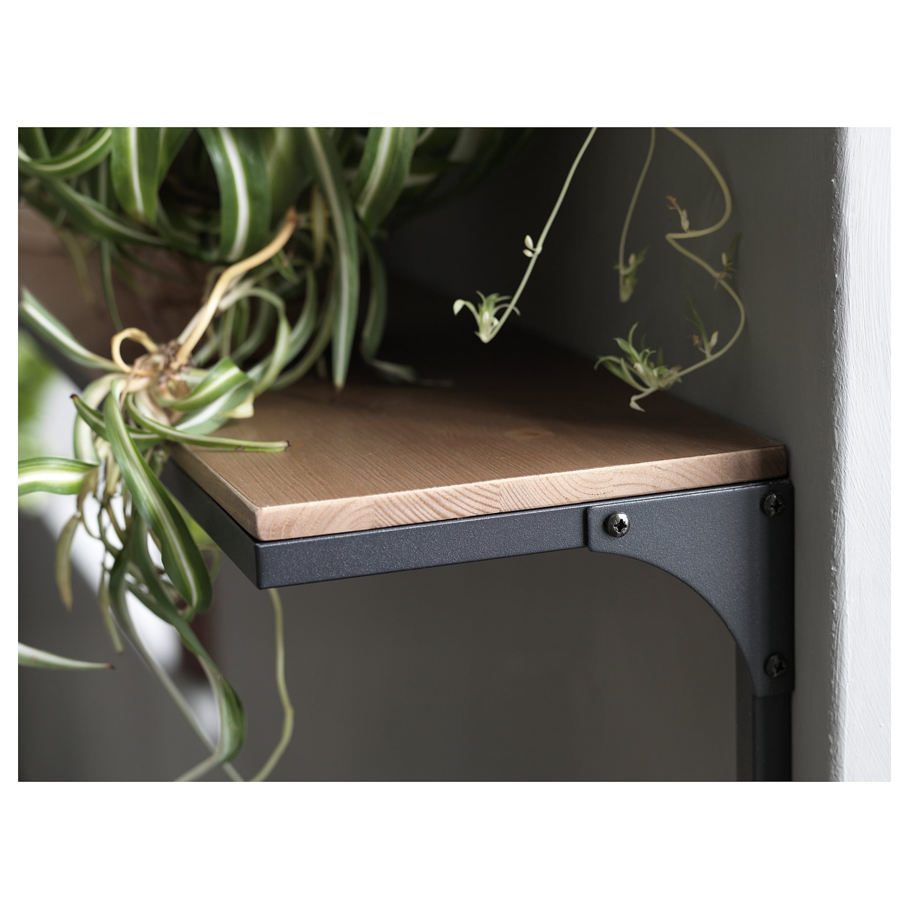 FJÄLLBO, ράφι τοίχου, 804.212.47