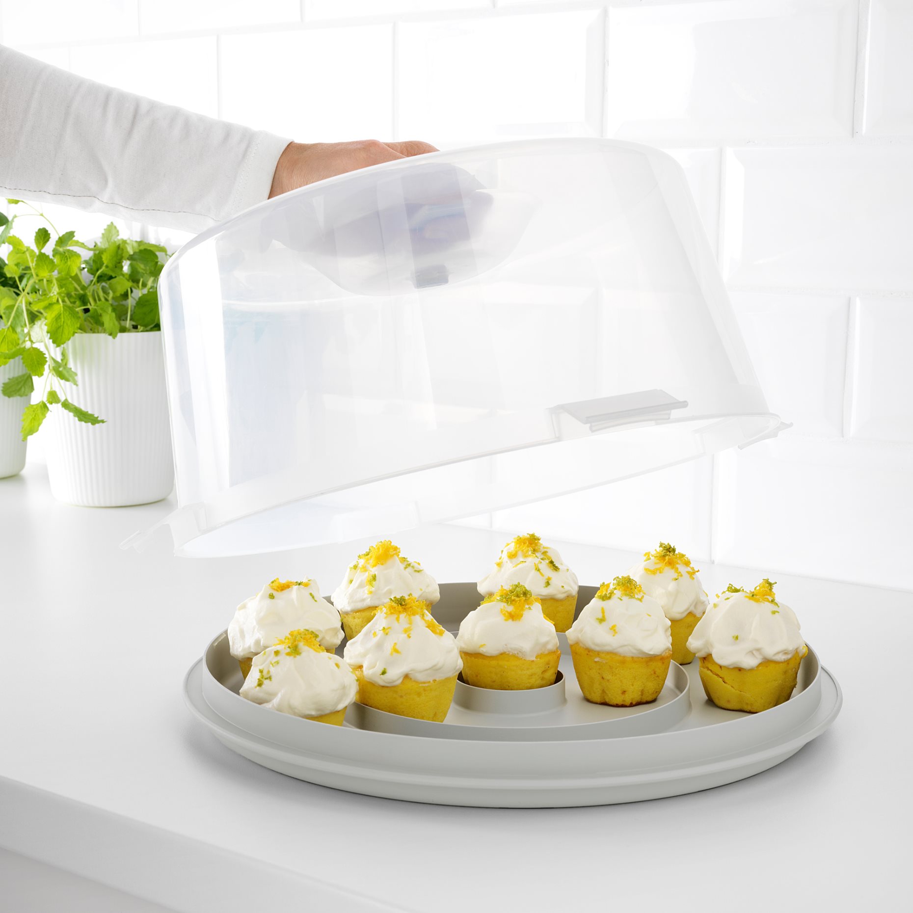 KRISPIG, cake carrier, 36 cm, 203.364.07