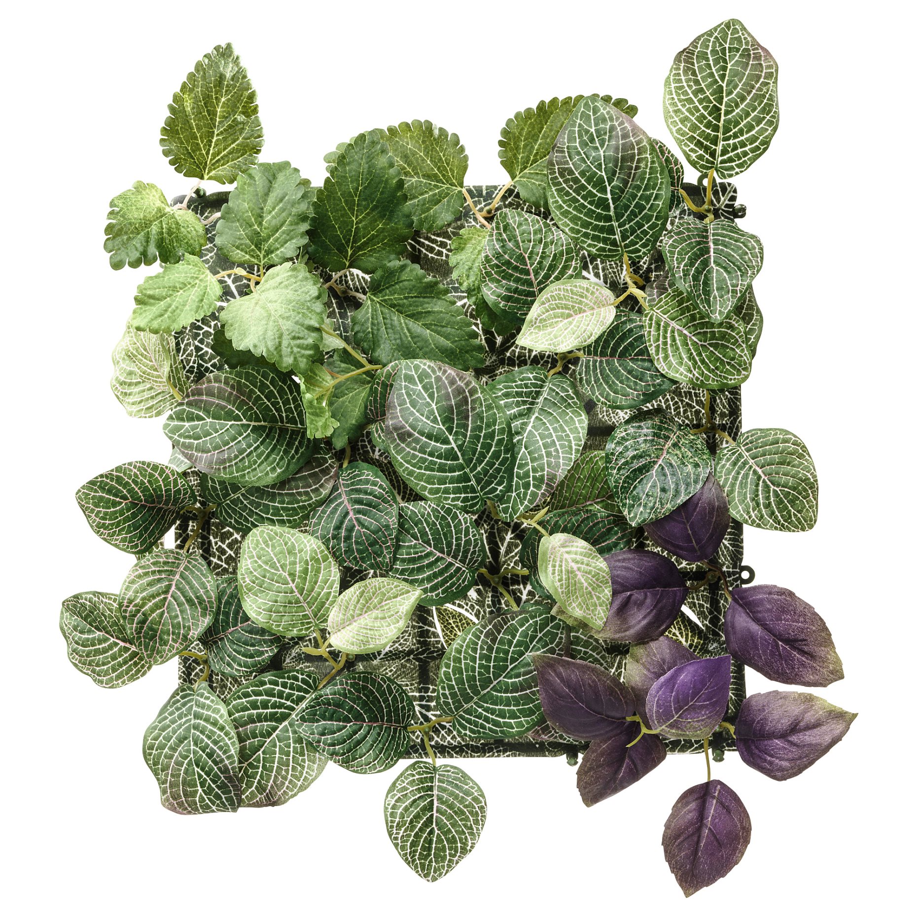 FEJKA, wall mounted artificial plant, 26x26 cm, 203.495.32