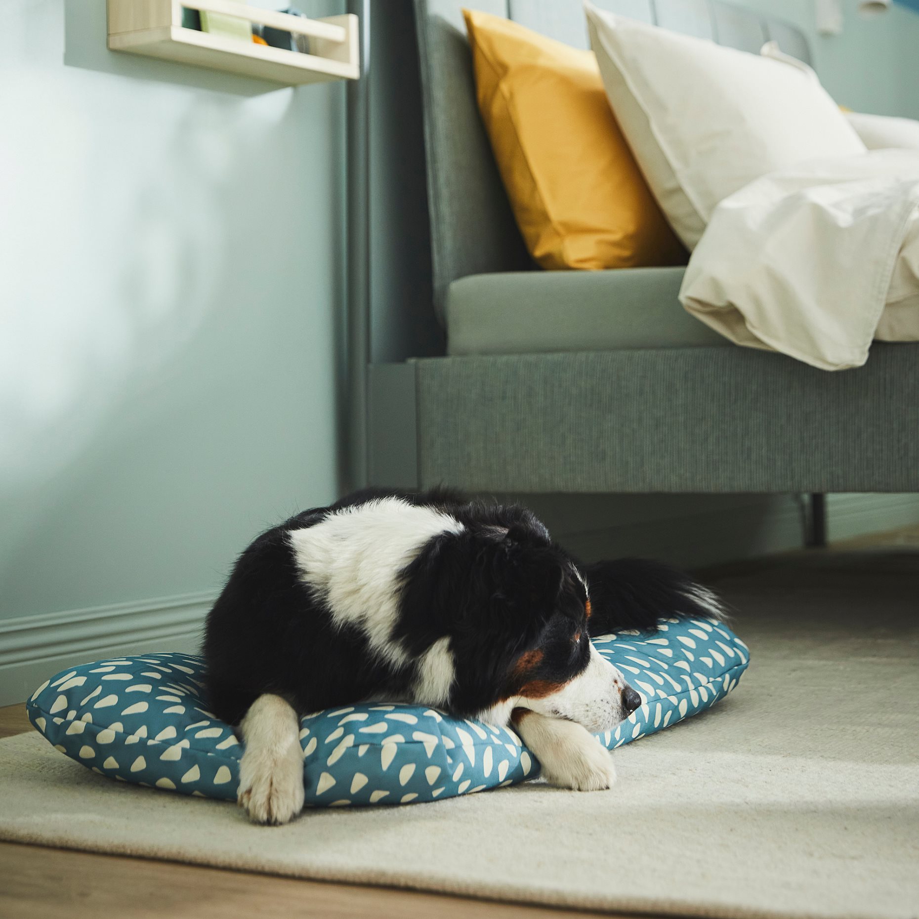 UTSADD, pet cushion, 48x75 cm, 605.677.40