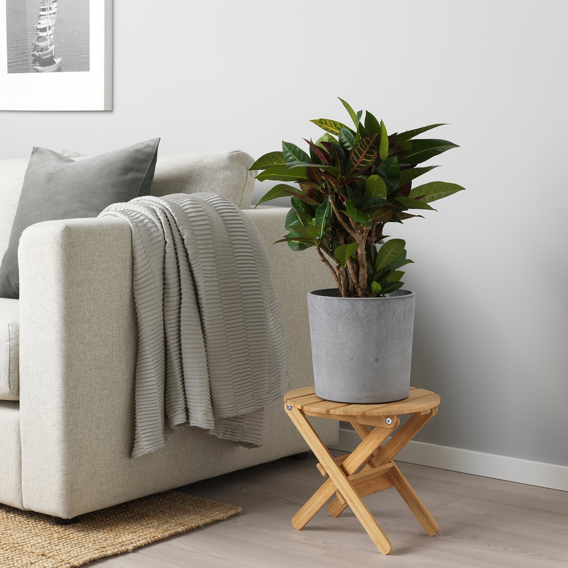 BOYSENBÄR, plant pot in/outdoor, 19 cm, 704.675.56