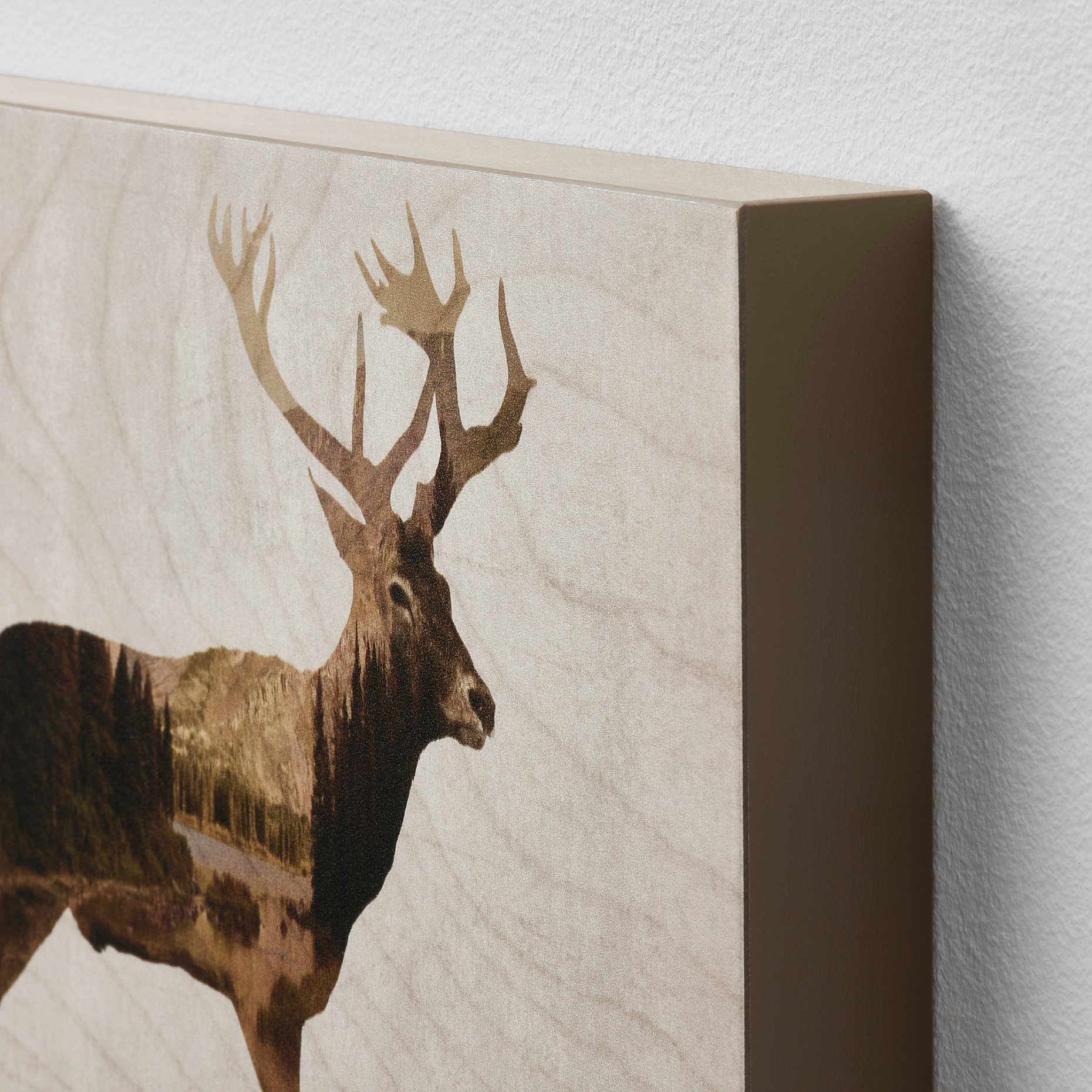 BJÖRNAMO, picture/ Wild animals II 30x20 cm, set of 2, 704.861.02