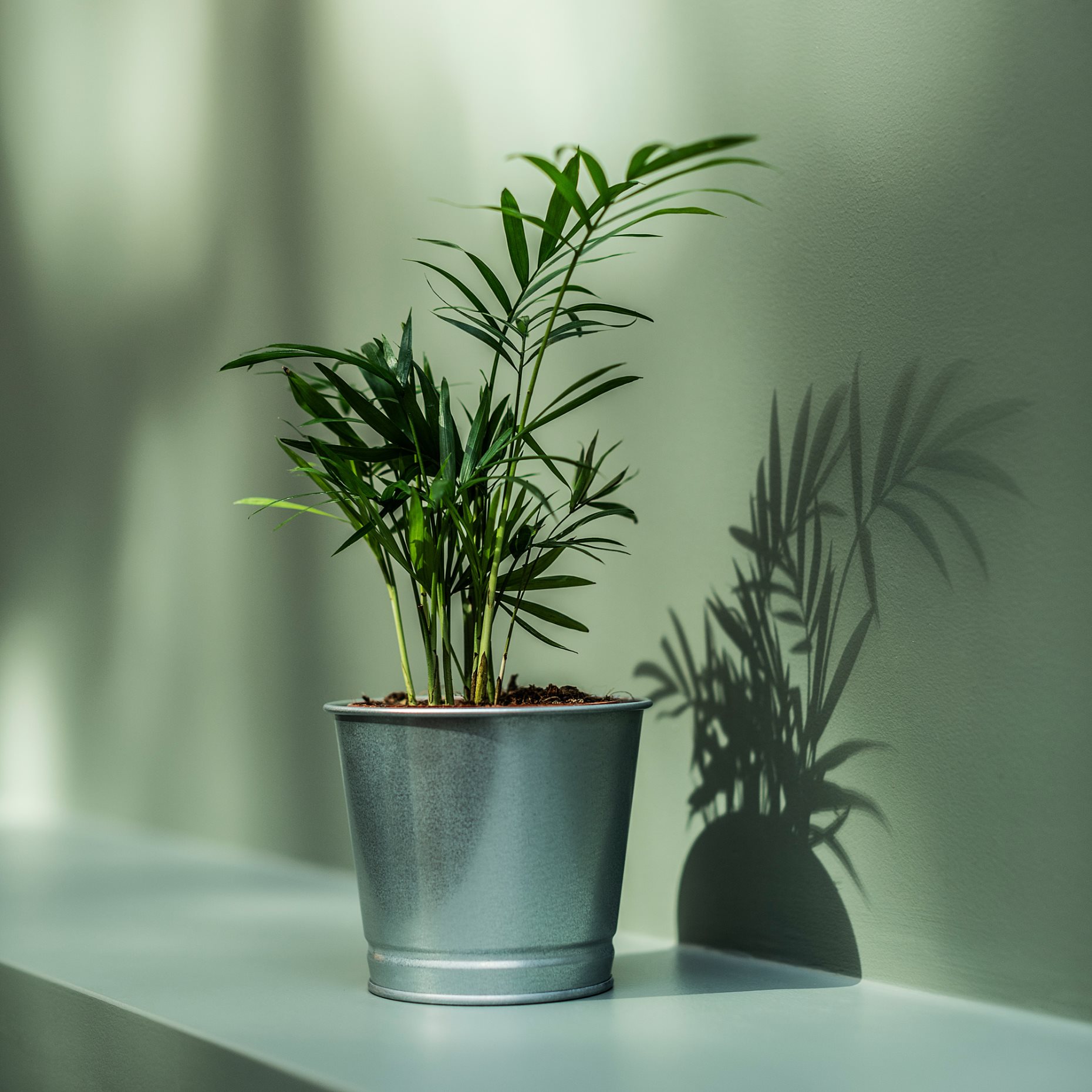 BINTJE, plant pot, 803.341.27