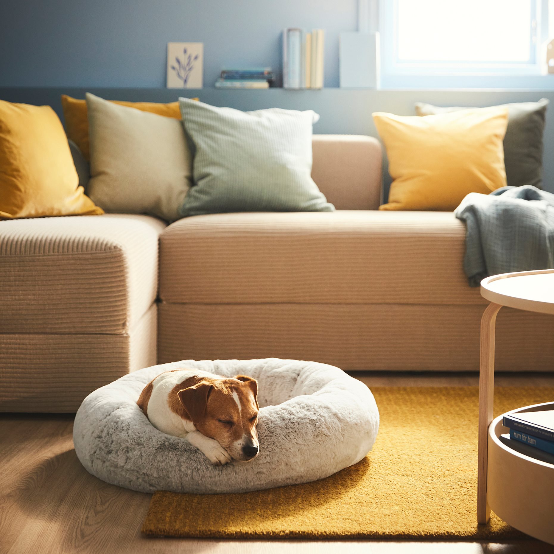 UTSADD, pet bed/M, 65 cm, 905.705.81
