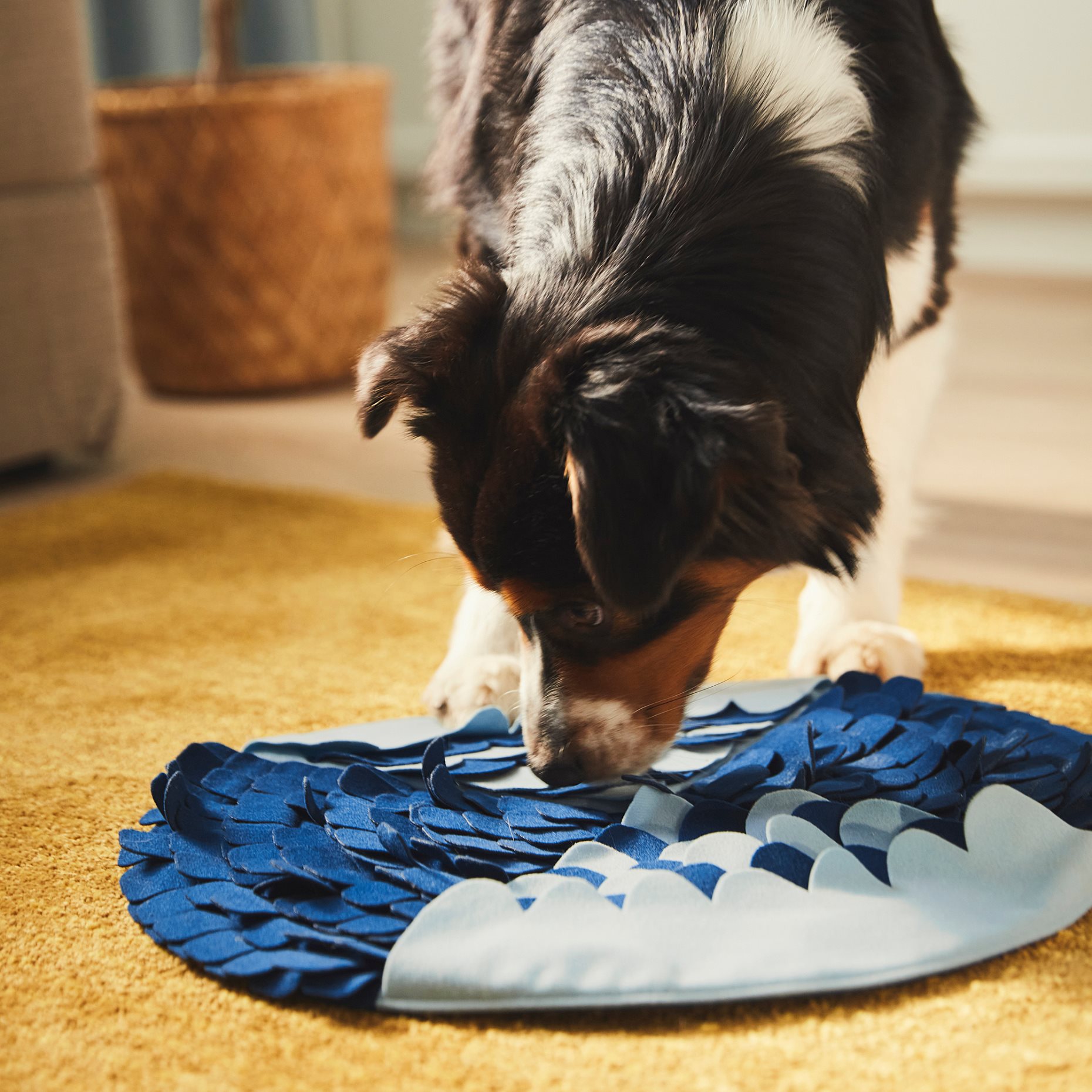 UTSADD, snuffle mat for dog, 905.708.78
