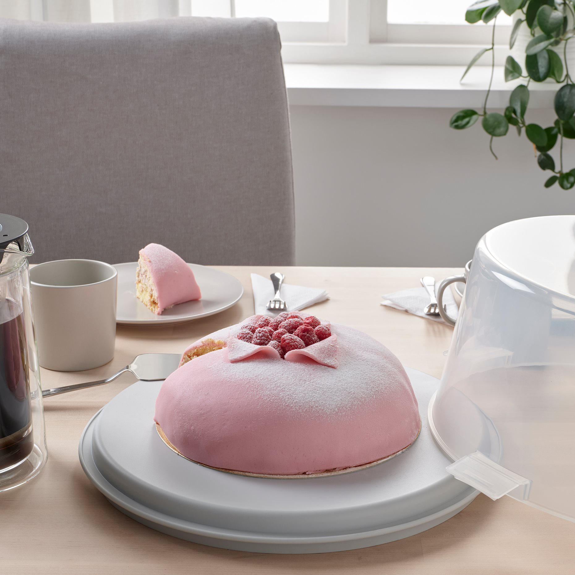 KRISPIG, cake carrier, 36 cm, 203.364.07