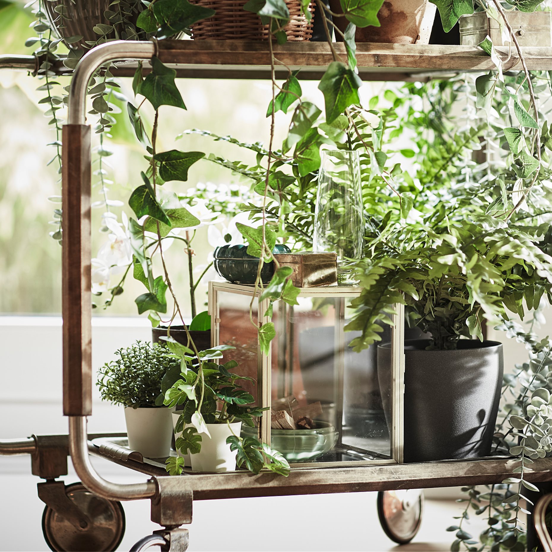 FEJKA, artificial potted plant in/outdoor fern, 15 cm, 204.684.50