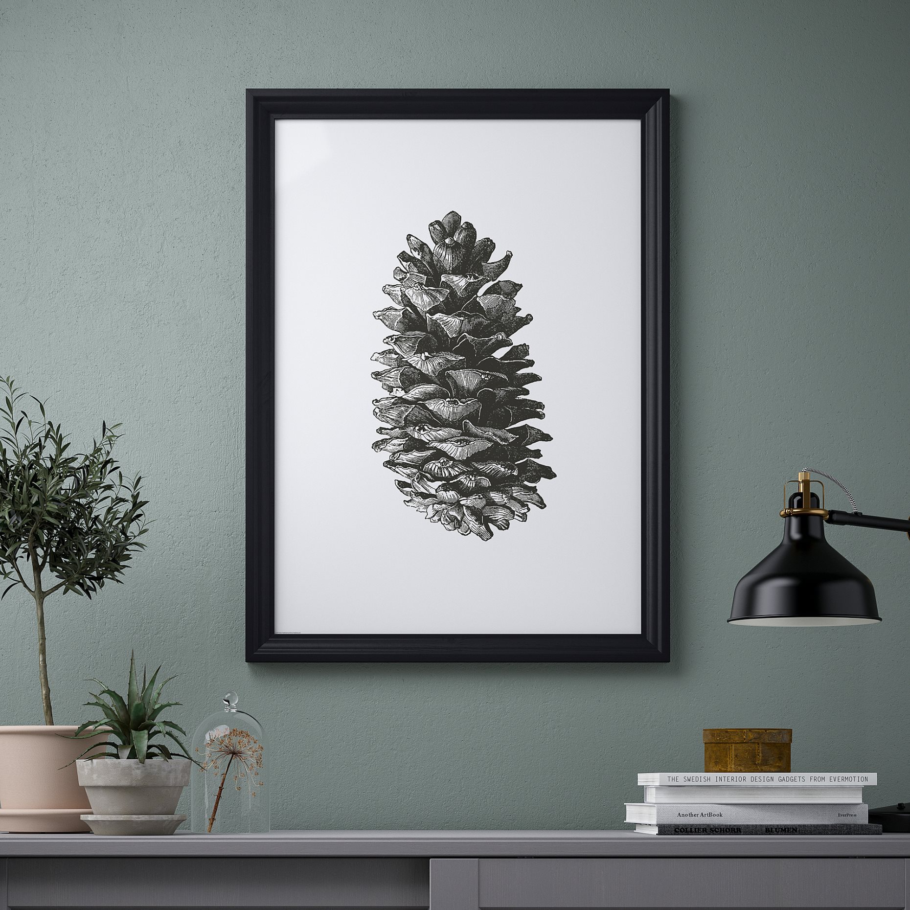 BILD, poster/Pine cone, 50x70 cm, 005.331.21