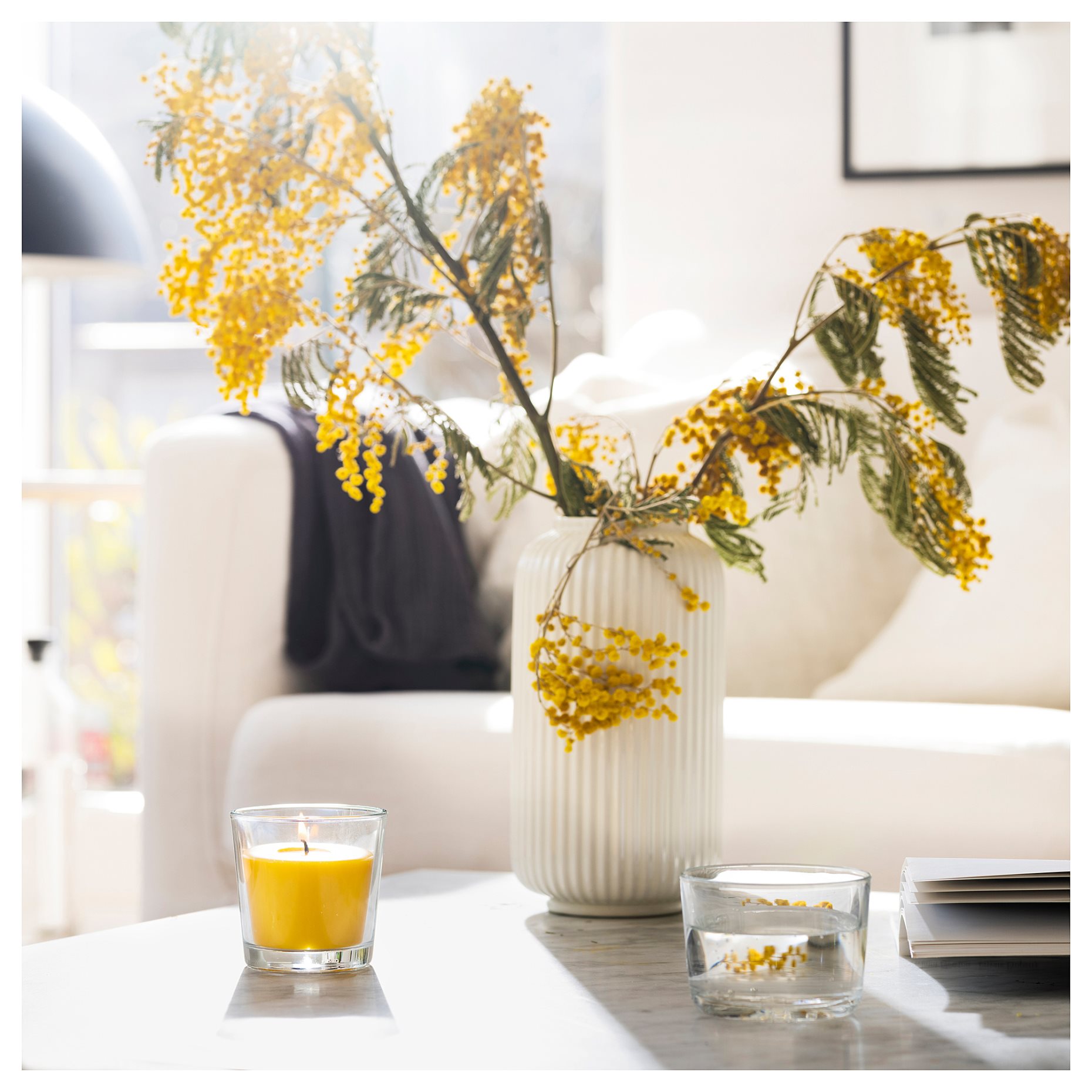 SVARTOXBÄR, scented candle in glass/mimosa, 25 hr, 005.826.68