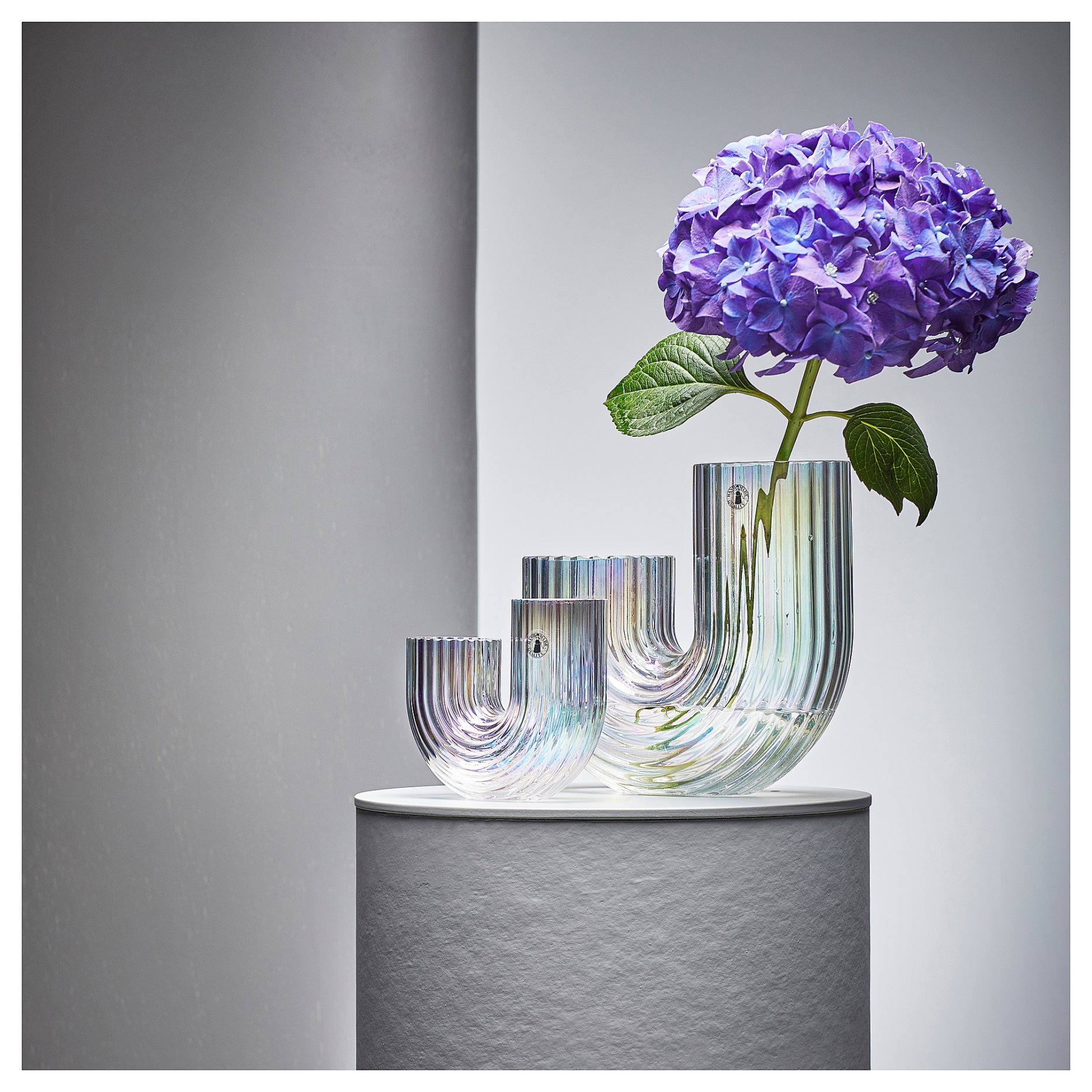 RÄFFELBJÖRK, vase, 12 cm, 105.376.56