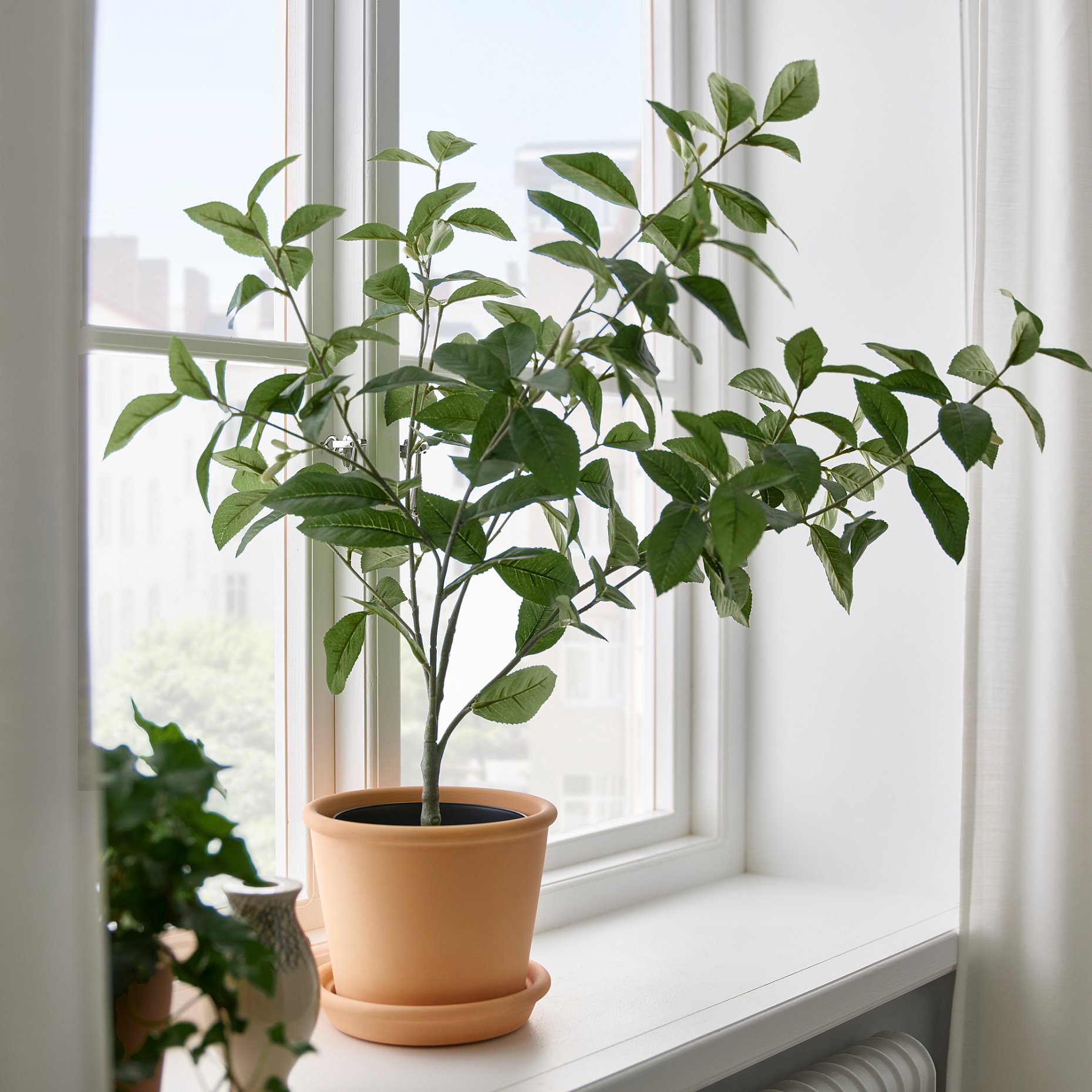 FEJKA, τεχνητό φυτό σε γλάστρα/εσωτερικού/εξωτερικού χώρου/λεμόνι, 15 cm, 105.380.00