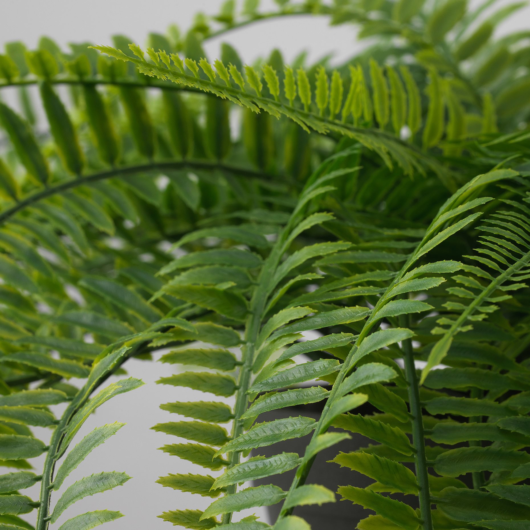 FEJKA, τεχνητό φυτό σε γλάστρα/εσωτερικού/εξωτερικού χώρου/κρεμαστό/φτέρη, 12 cm, 105.486.31