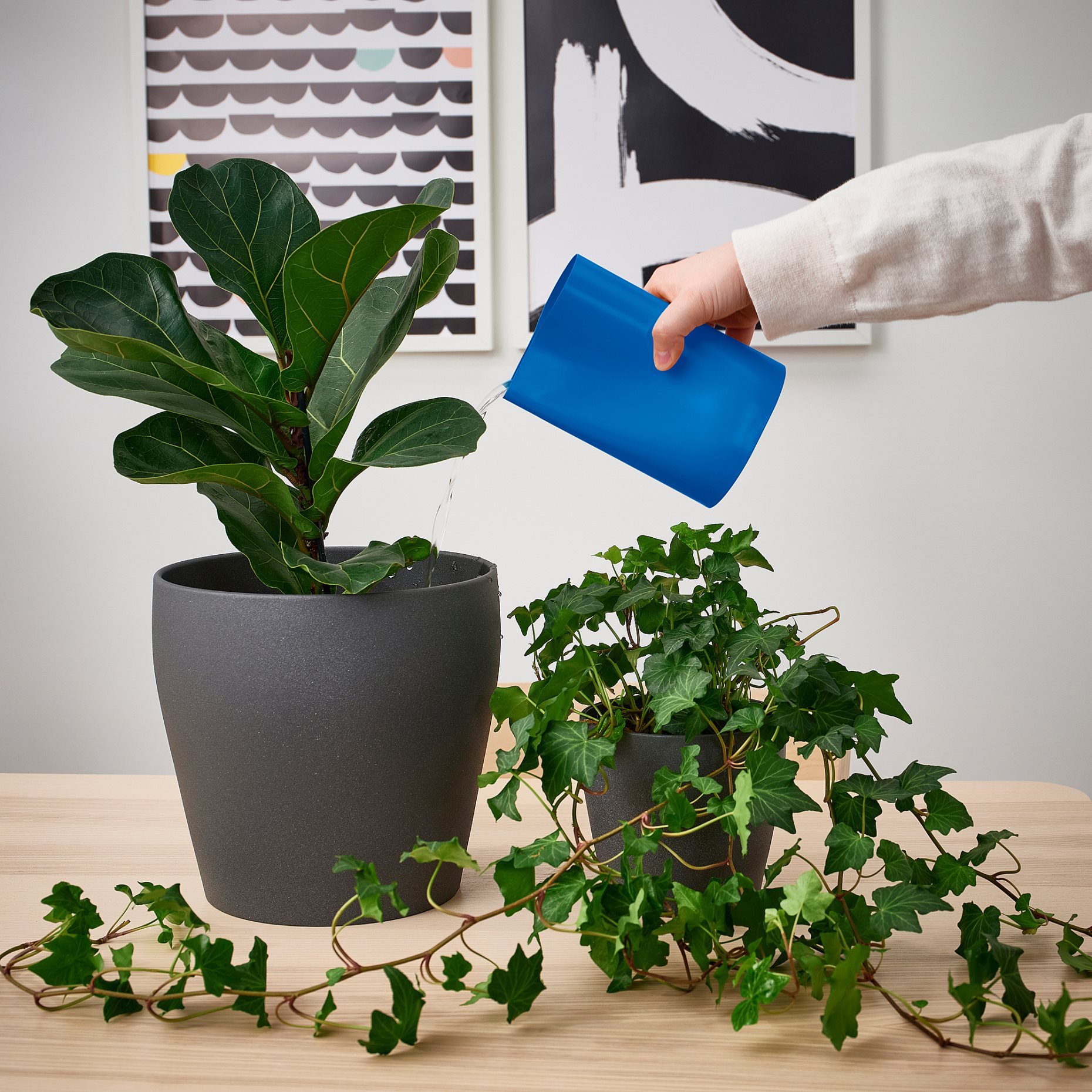 CHILIFRUKT, vase/watering can, 17 cm, 105.977.92