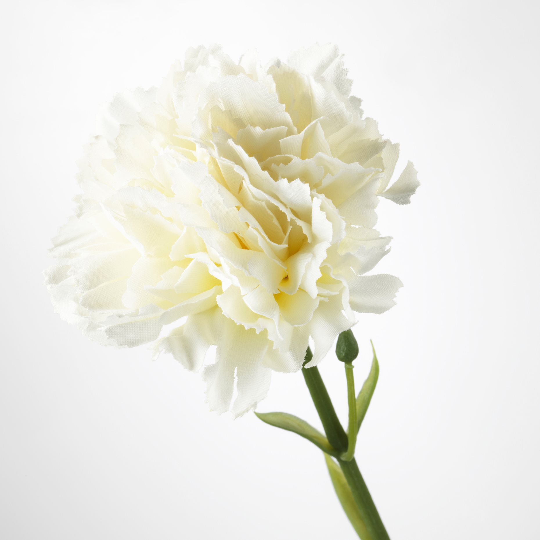 SMYCKA, τεχνητό λουλούδι, Γαρύφαλλο, 203.335.88