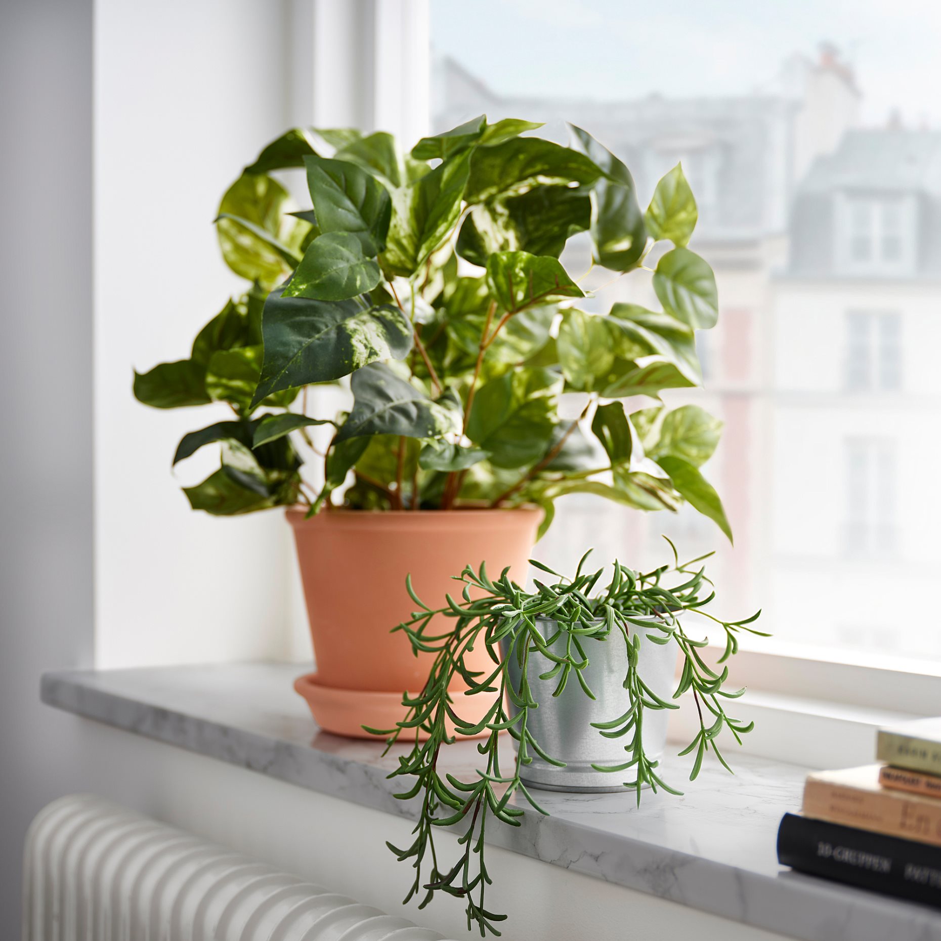 FEJKA, τεχνητό φυτό σε γλάστρα εσωτ./εξωτ. χώρου/παχύφυτο κρεμαστό, 9 cm, 205.084.08