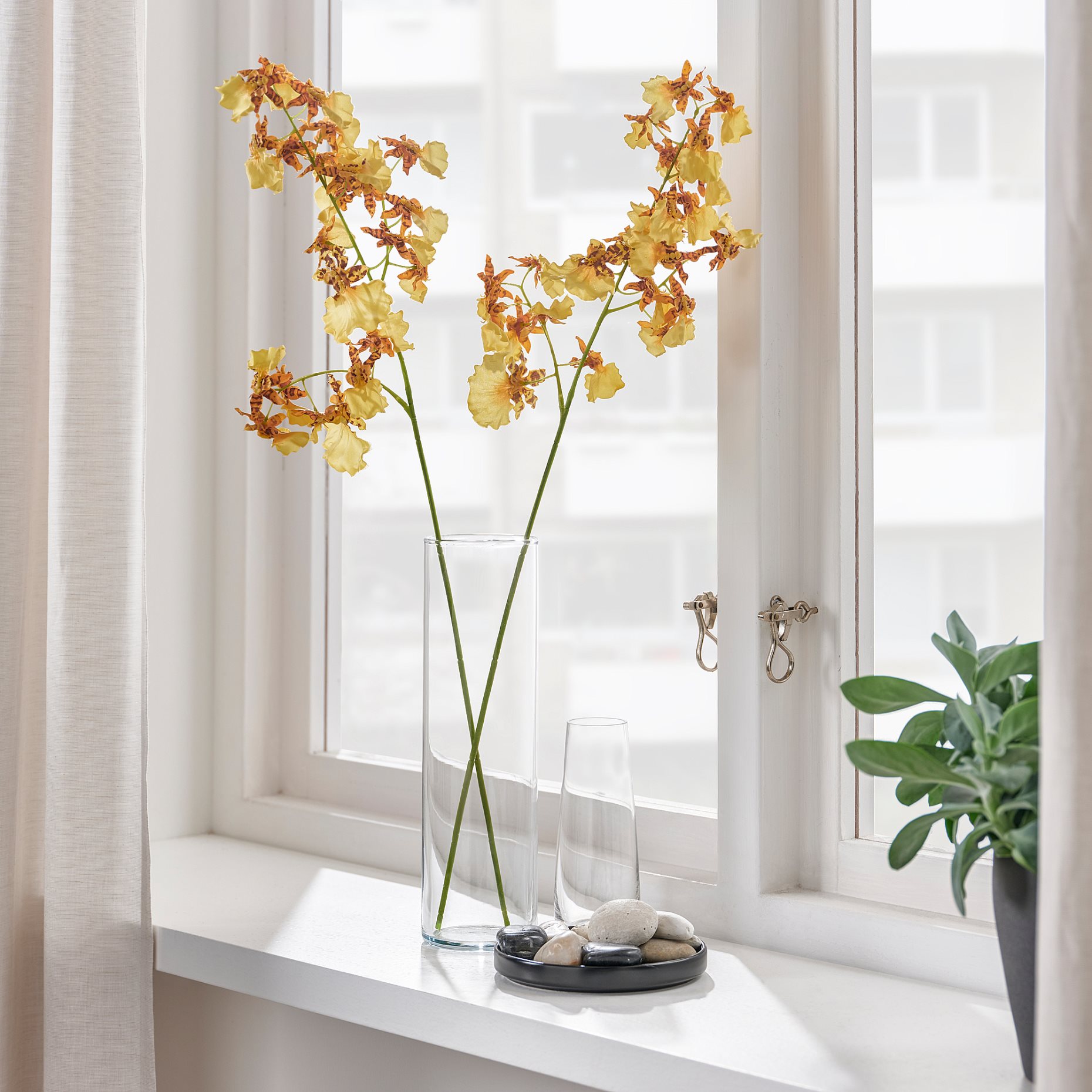 SMYCKA, artificial flower/in/outdoor/Orchid, 65 cm, 205.380.47